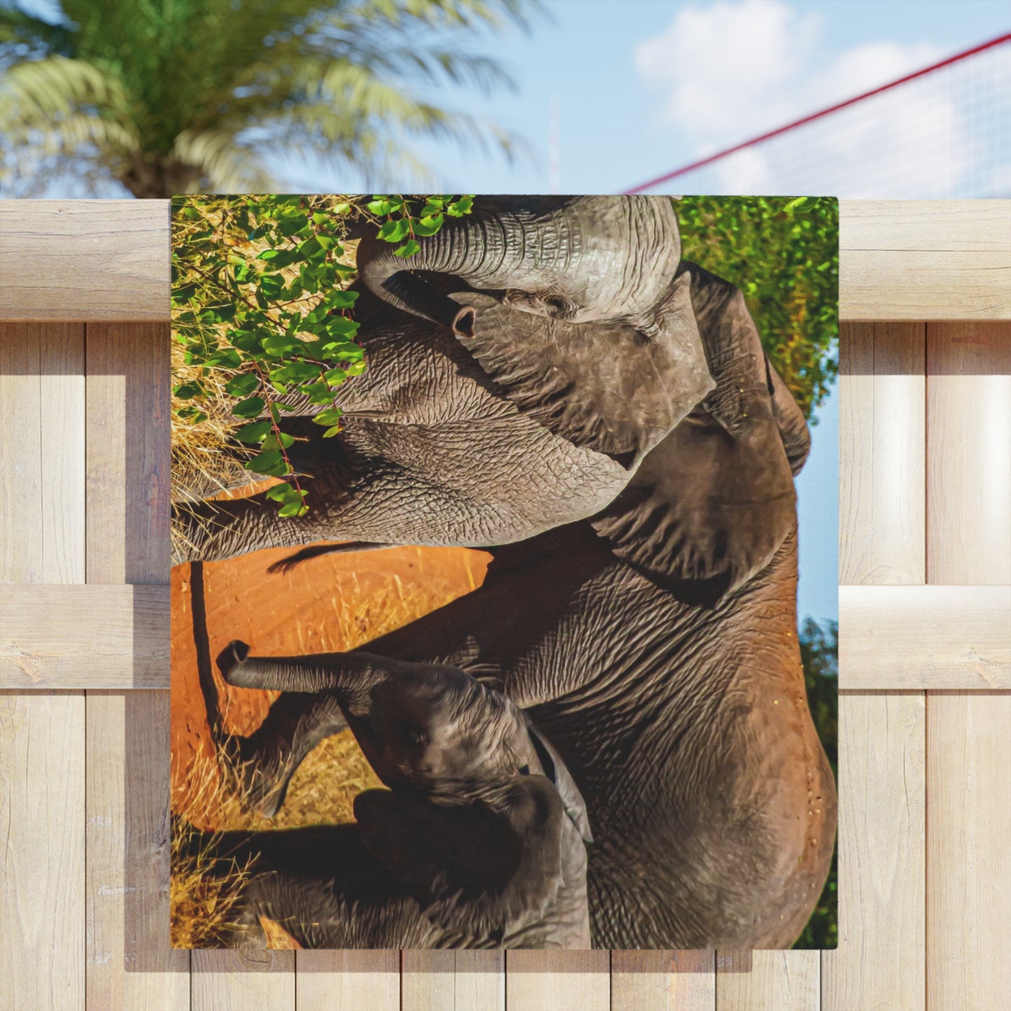 African Elephant Beach Towels
