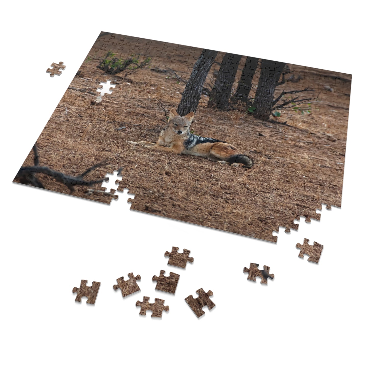 Jackal Photo Jigsaw Puzzle with Tin