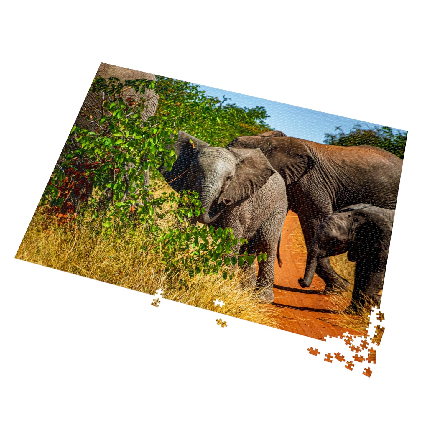 Young Elephant Jigsaw Puzzle with Tin