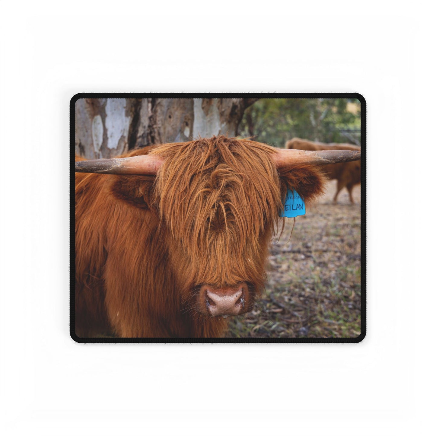 Highland Cattle Desk Mats