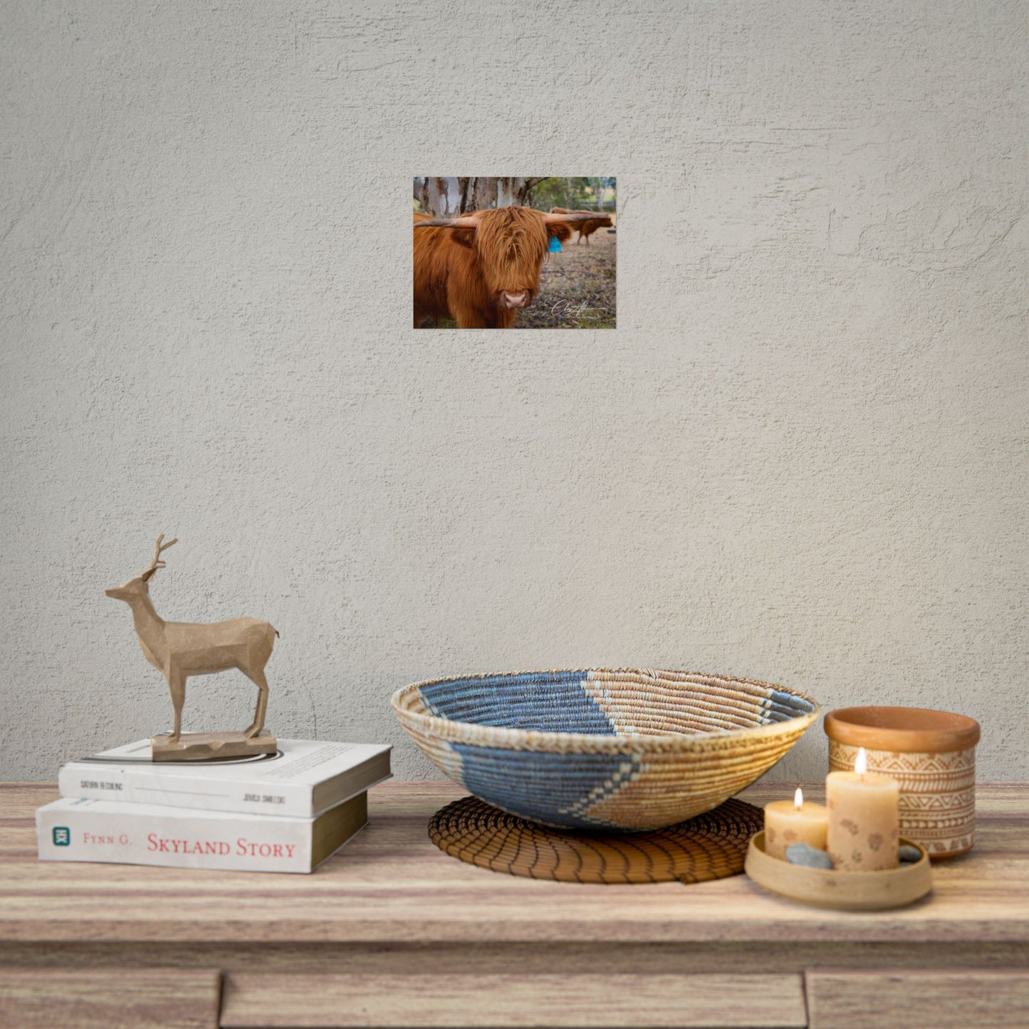 Rolled Posters - Scottish Highland Cattle 8" x 6" (Horizontal) Semi Glossy