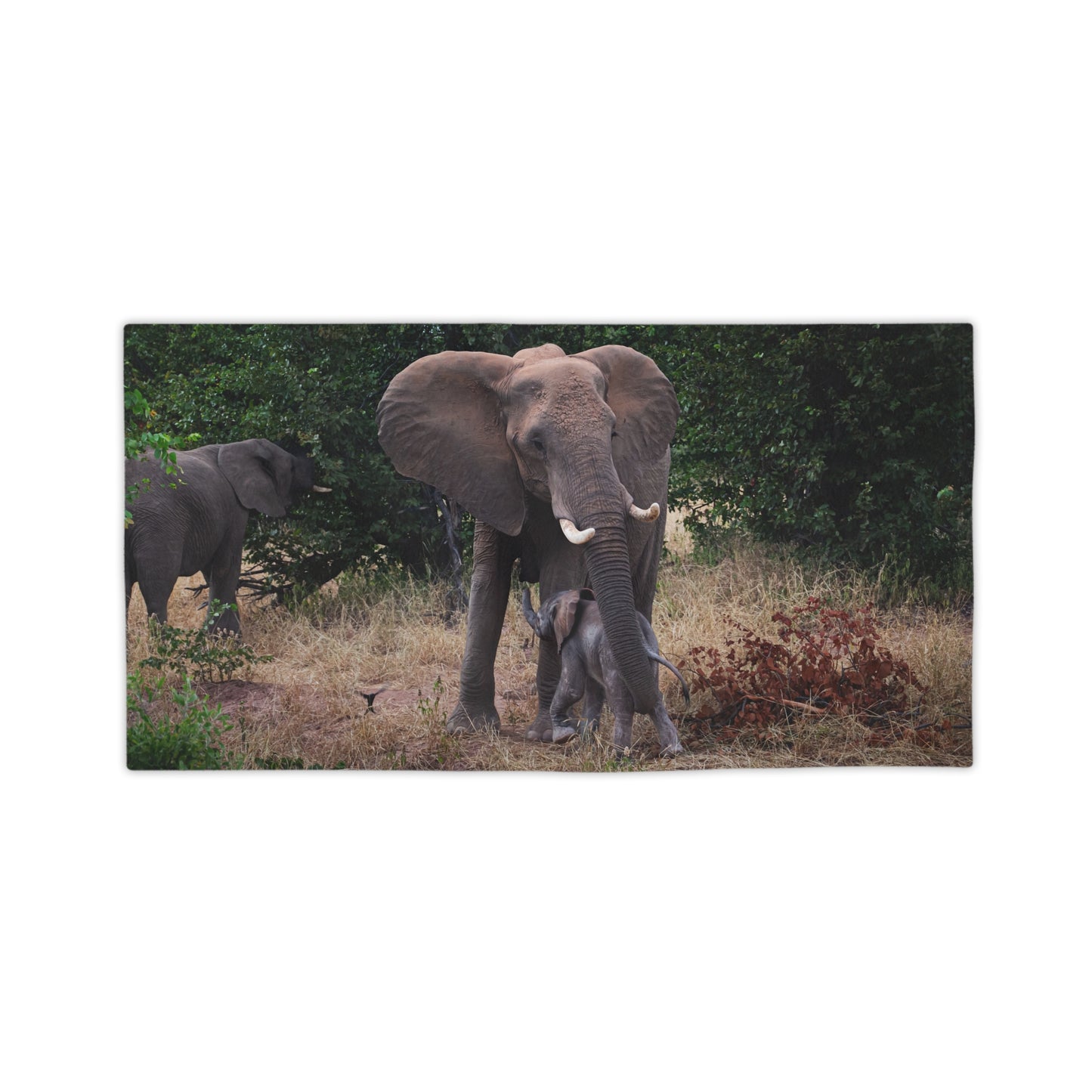African Elephant Beach Towels 24" x 44"