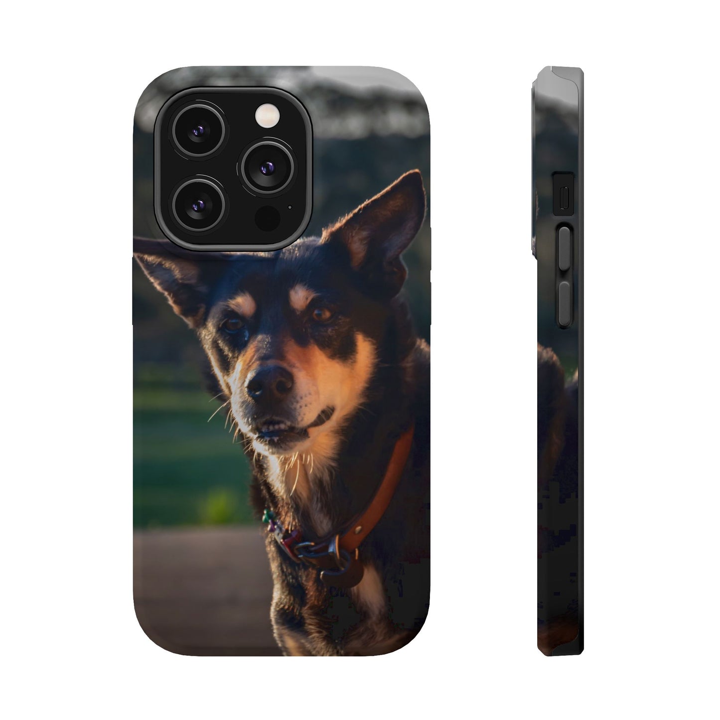 Magsafe® Compatible Tough Cases - Saba The Kelpie iPhone 14 Pro Matte