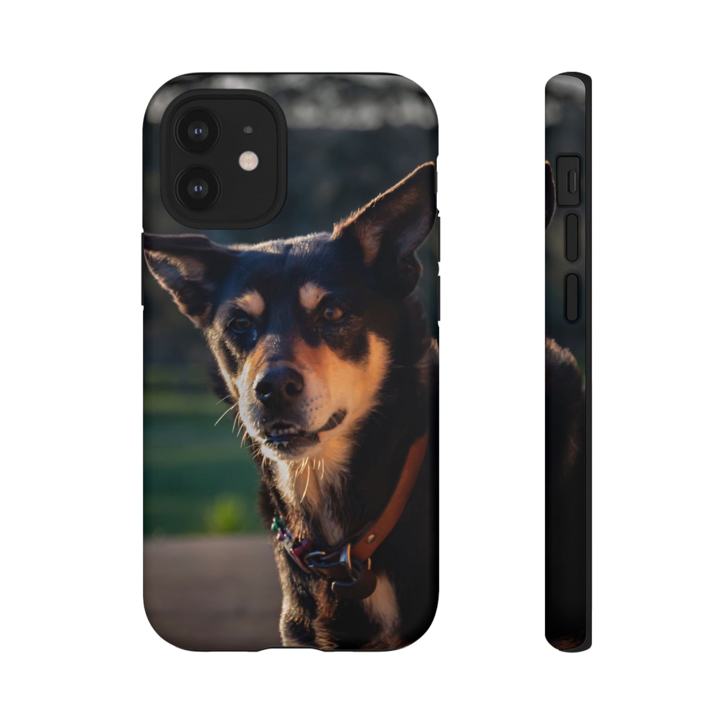 Tough Case - Saba the Kelpie iPhone 12 Mini Matte