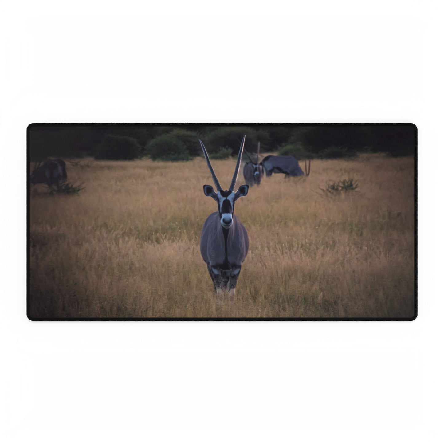 Gemsbok Oryx Desk Mats