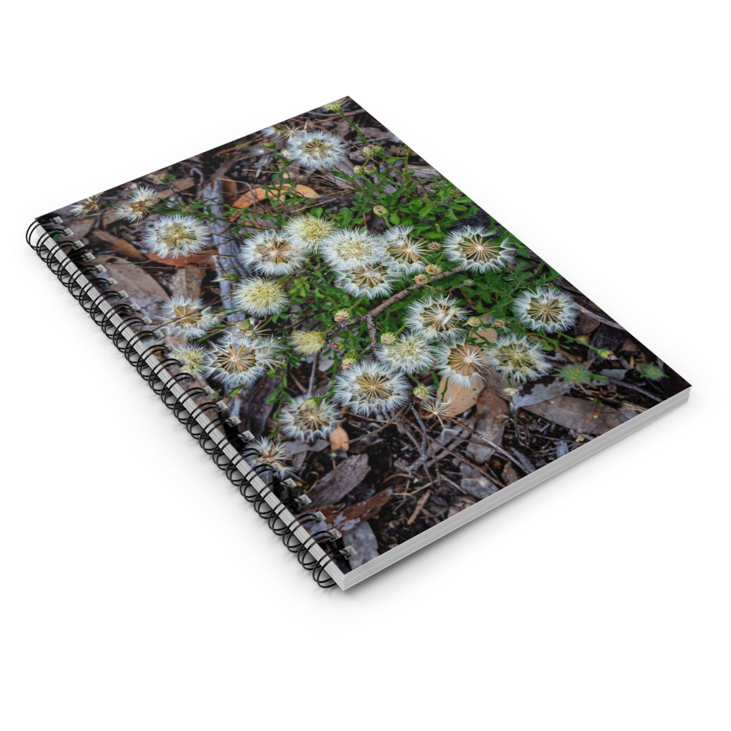 Spiral Notebook - Ruled Line - Australian Wildflowers