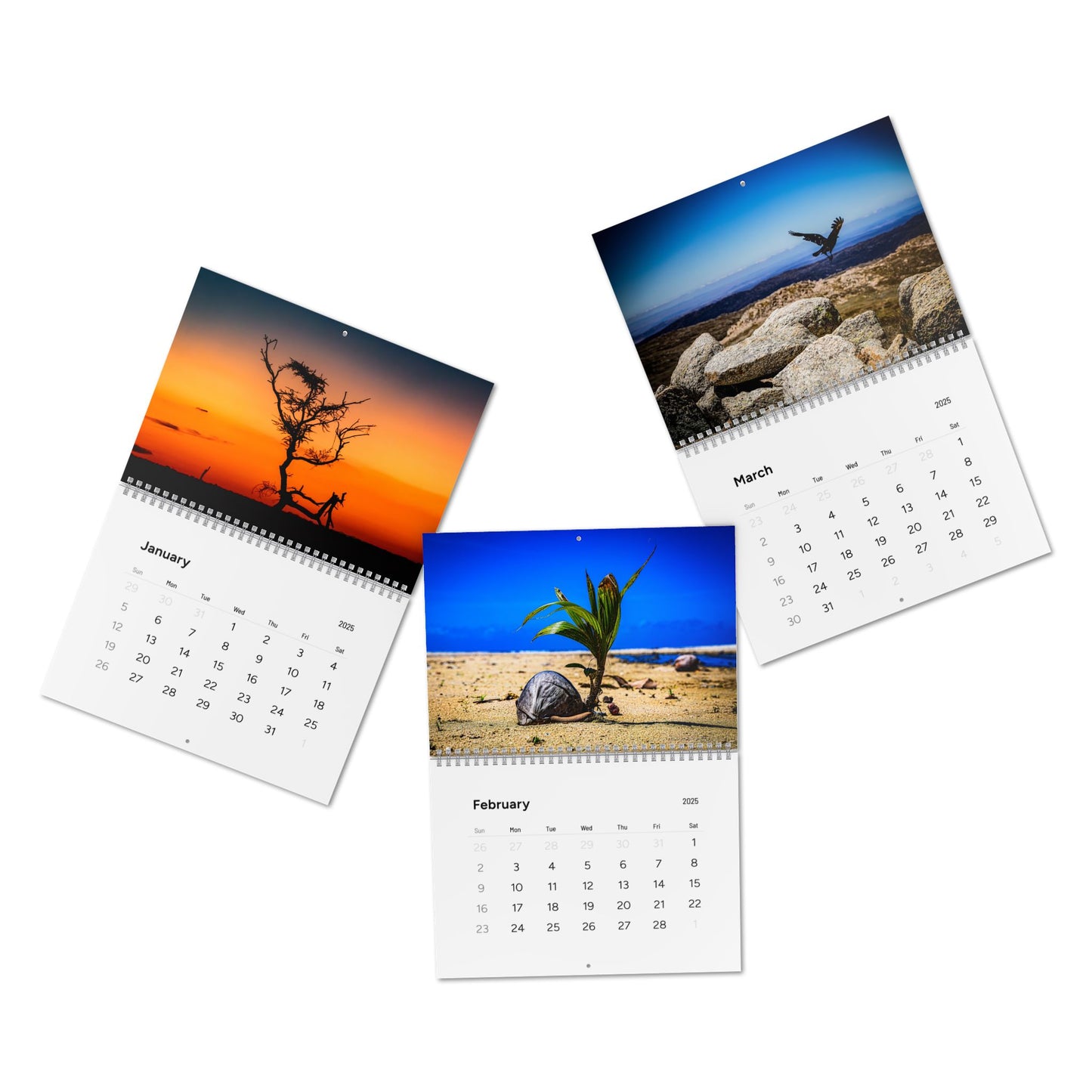 2025 Nature Wildlife Wall Calendar