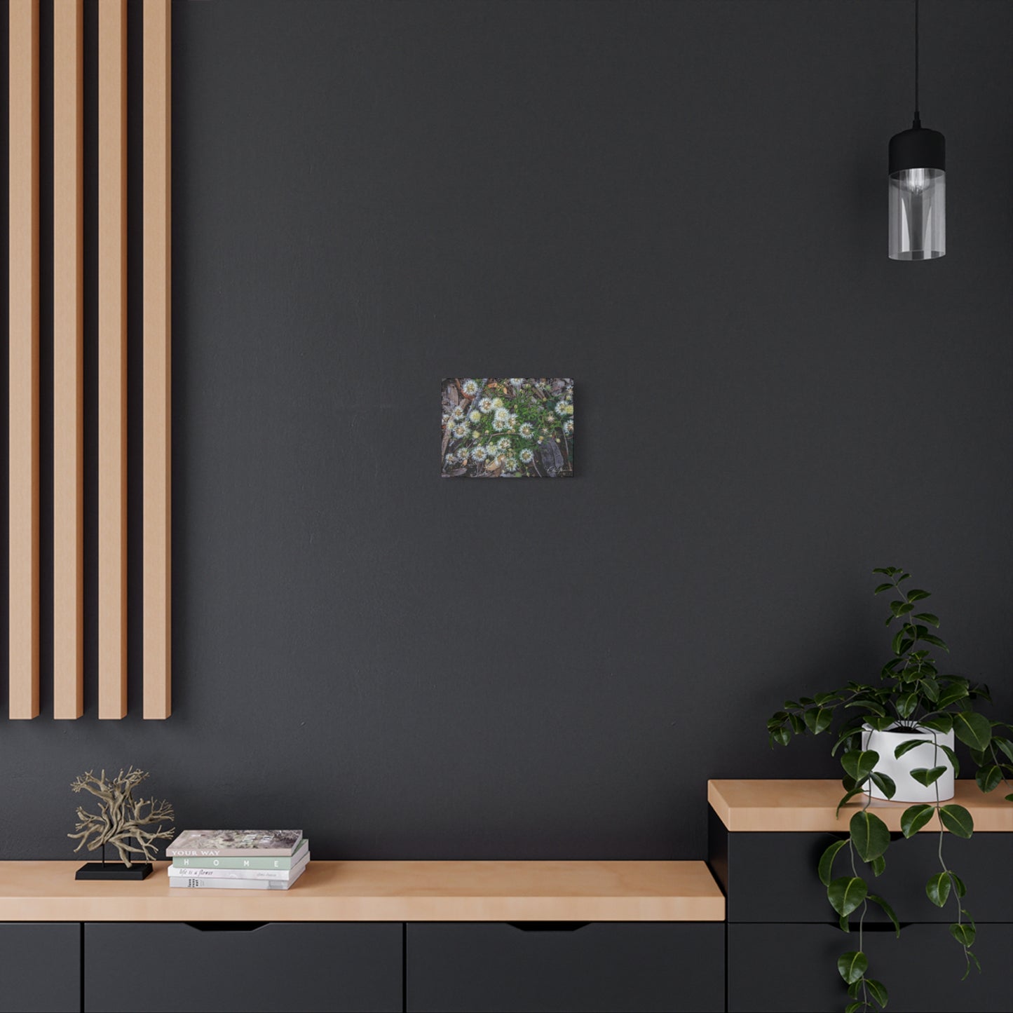 Matte Canvas, Stretched, 1.25" - Australian Wildflowers