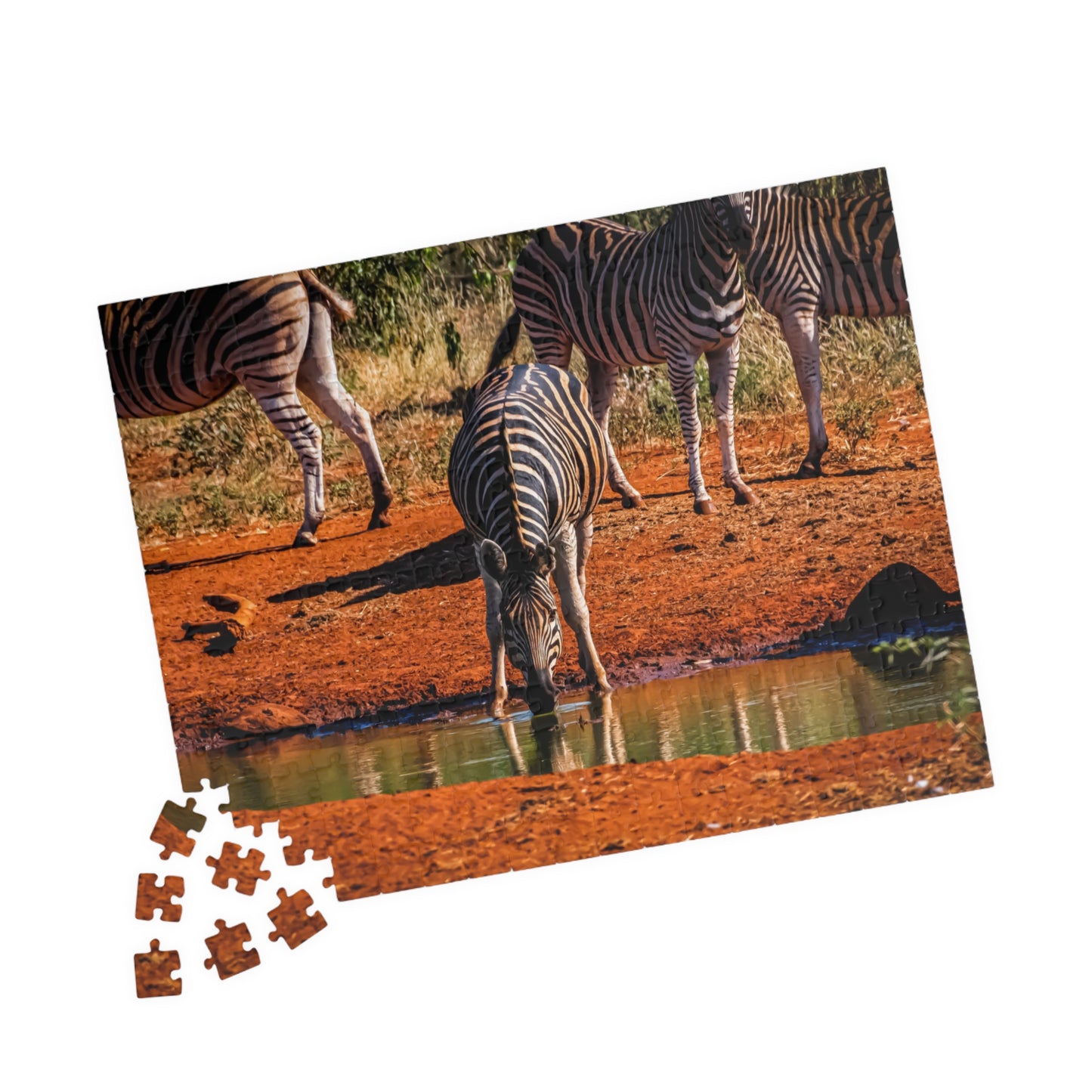 African Zebra Jigsaw Puzzle