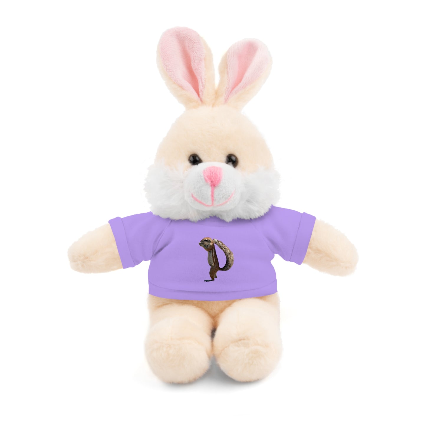 Teddy Bear with Tee