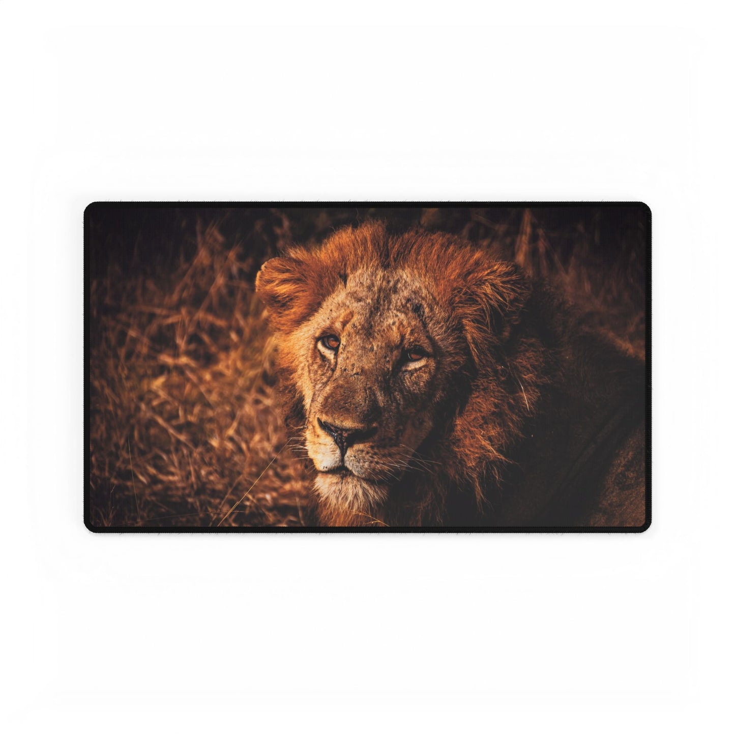 Majestic Old Lion Desk Mats