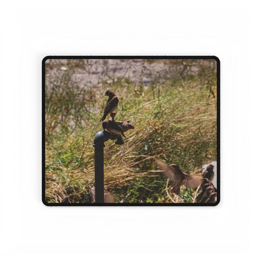 African Birds Desk Mat 14.4" × 12.1"