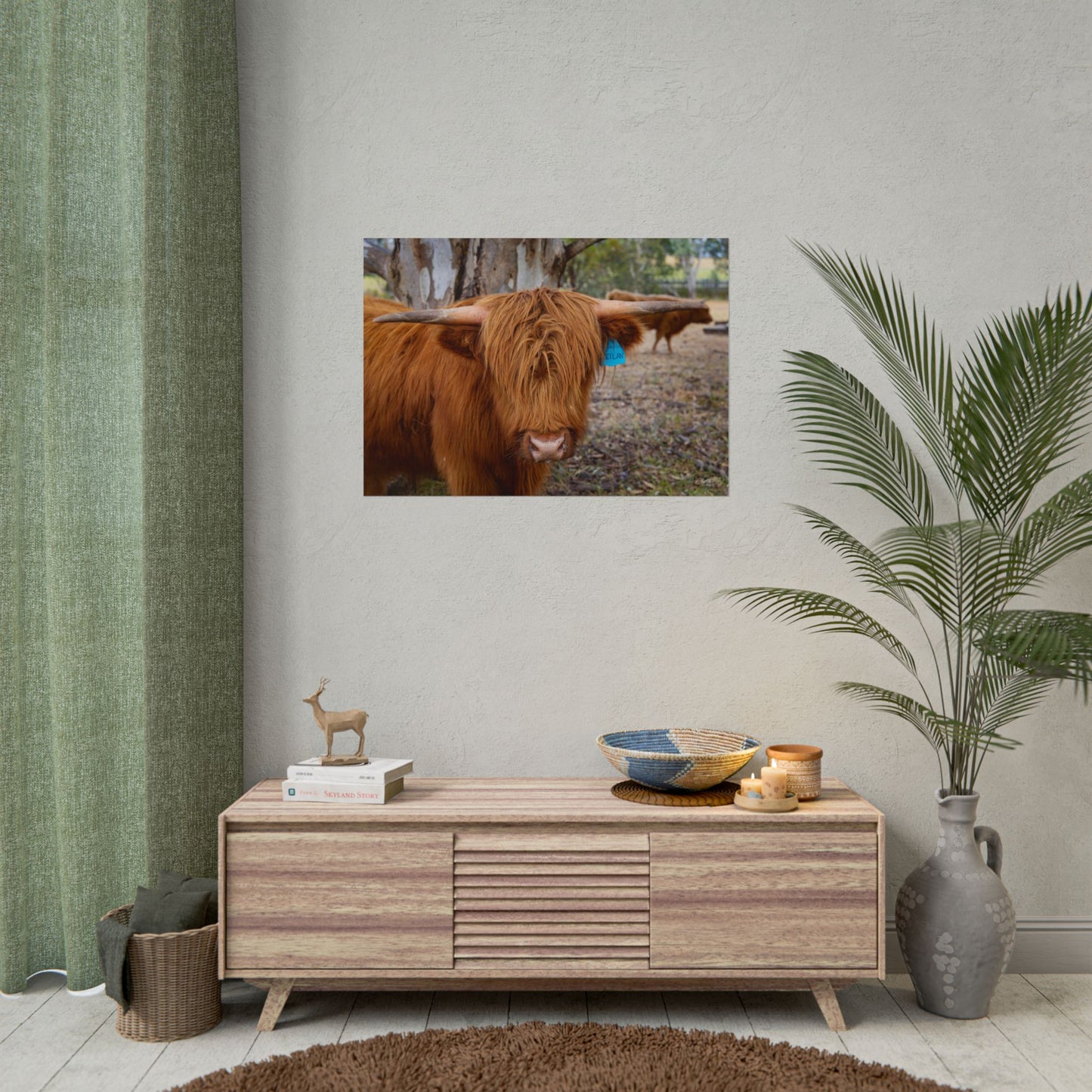 Rolled Posters - Scottish Highland Cattle 33.1" x 23.4" (Horizontal) Matte
