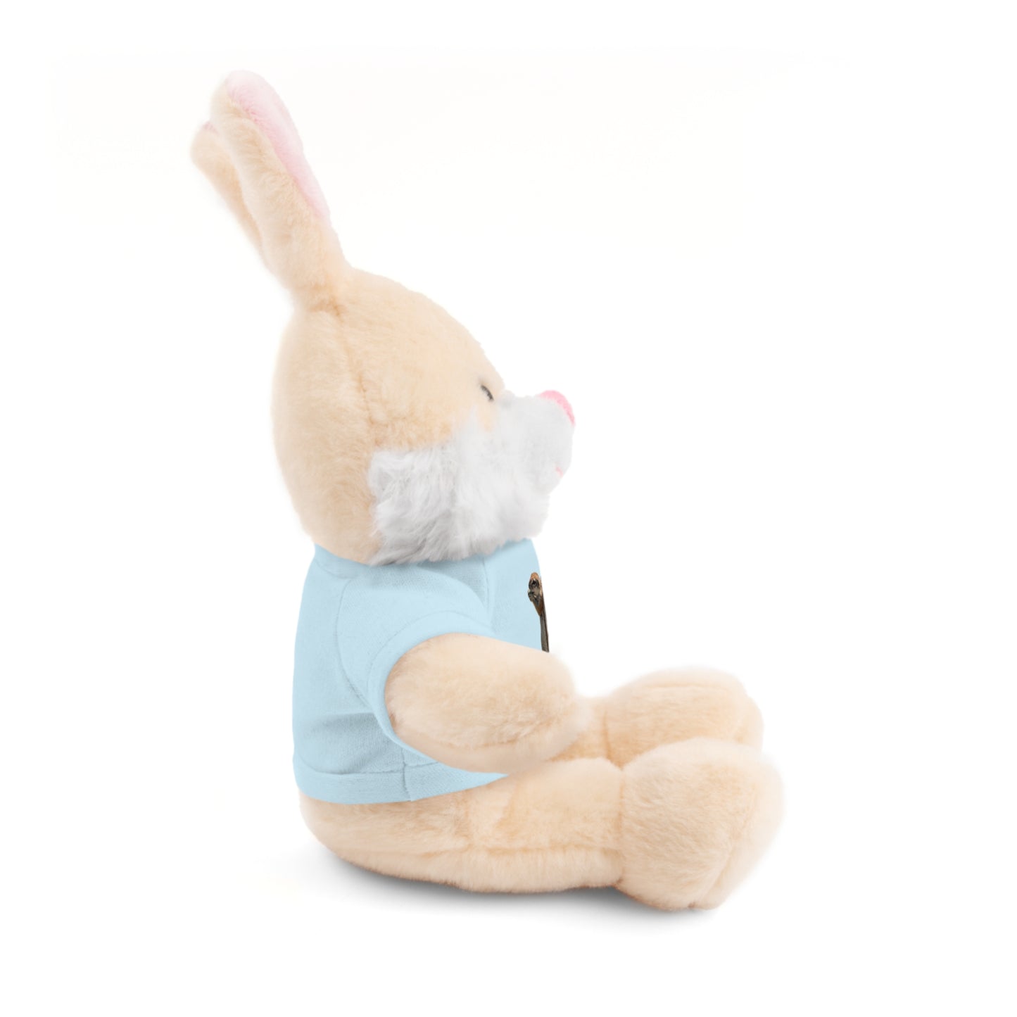 Teddy Bear with Tee