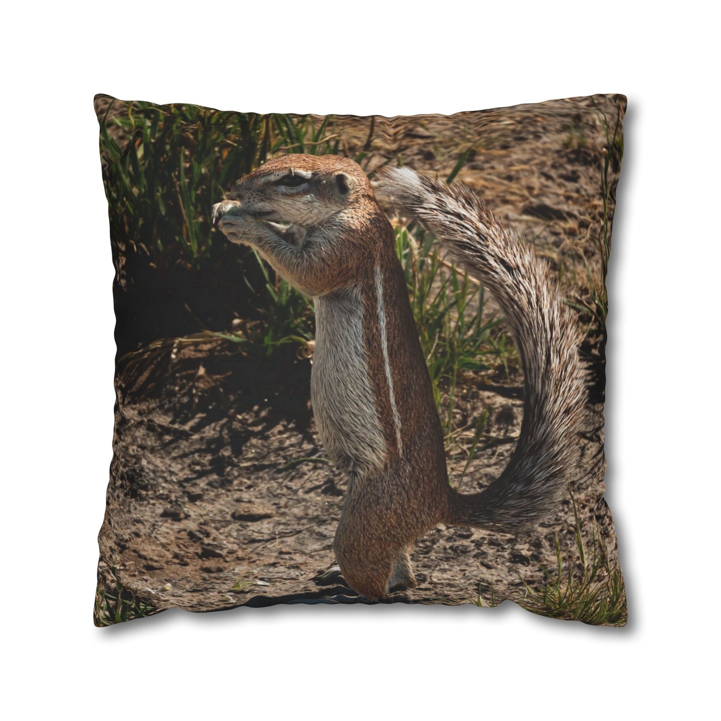 Poly Canvas Pillowcase - Ground Squirrel 24" × 24"