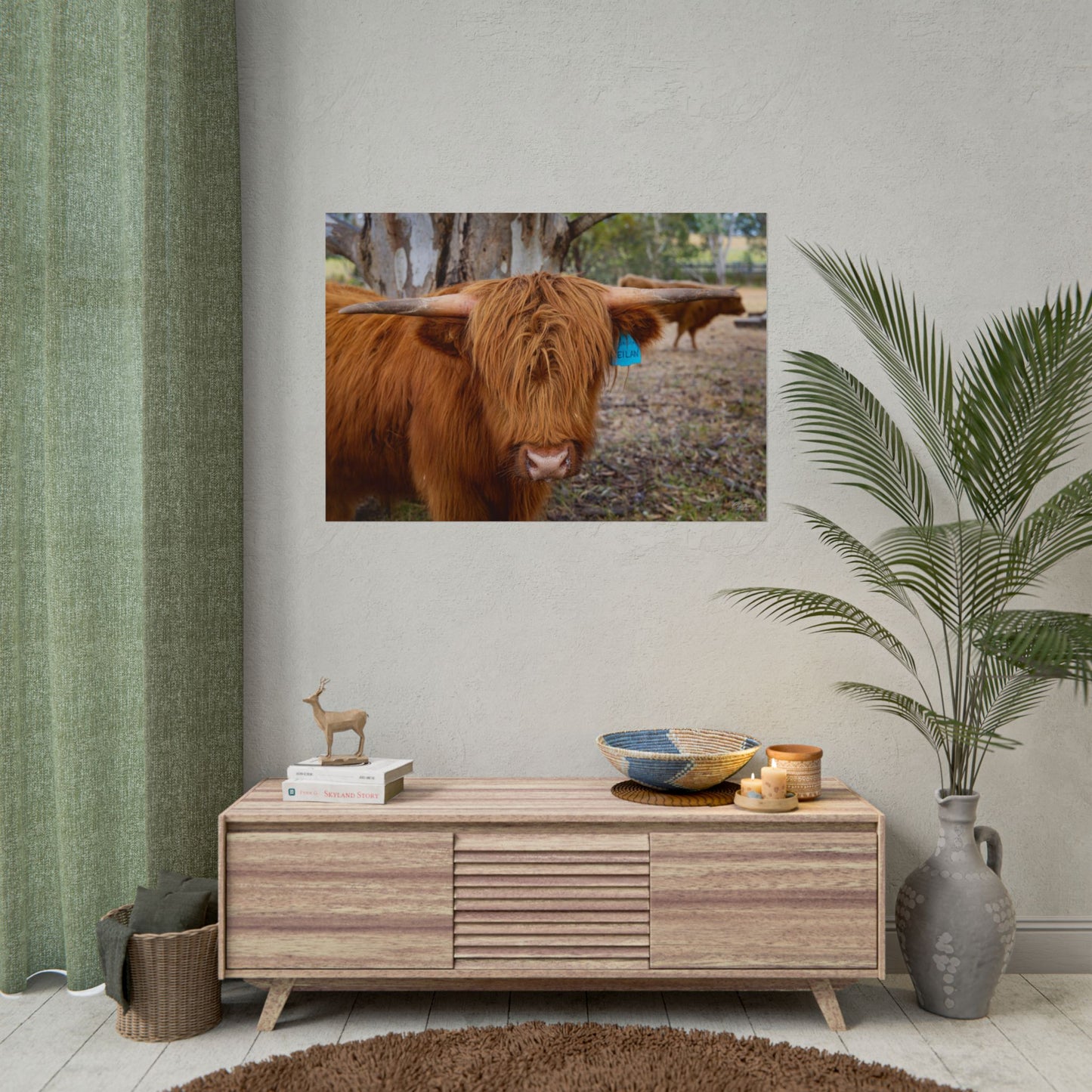 Rolled Posters - Scottish Highland Cattle 40" x 28" (Horizontal) Matte