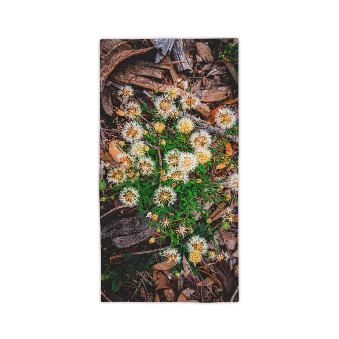 Australian Wildflower Beach Towels 24" x 44"