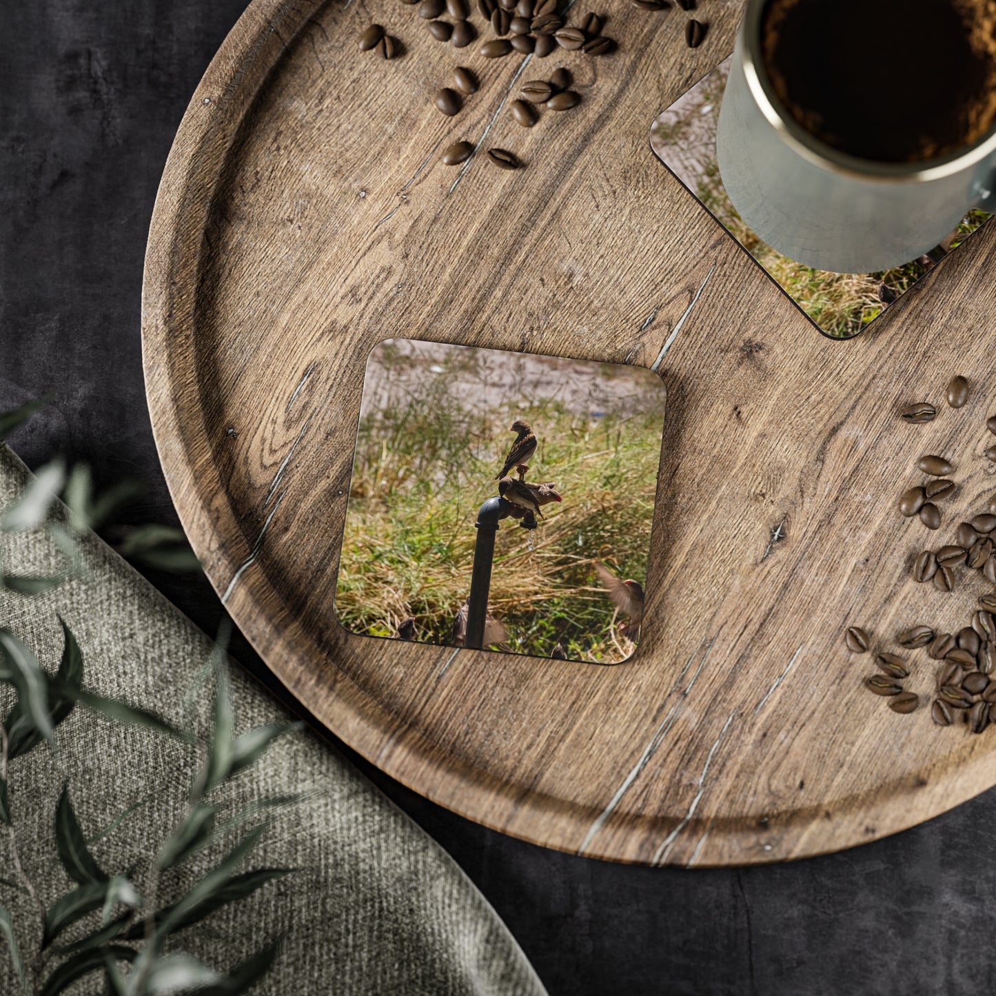 African Birds Coasters
