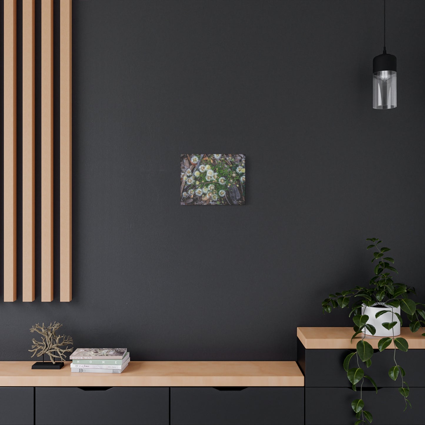 Matte Canvas, Stretched, 1.25" - Australian Wildflowers