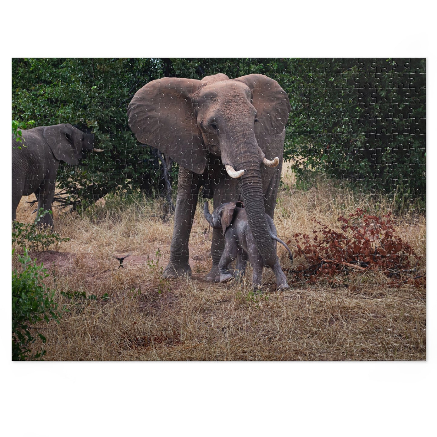 Jigsaw Puzzle (30, 110, 252, 500, 1000 Piece) - Elephant and Calf 21" × 15.5" (500 pcs)