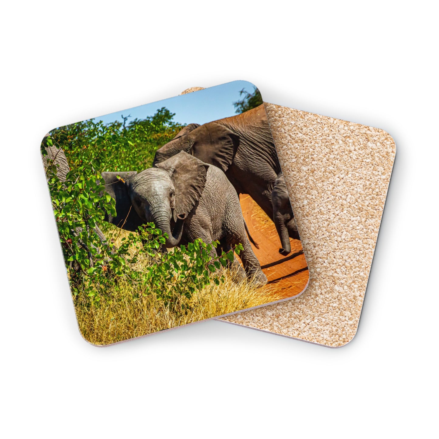 Elephant Coasters For Drinks