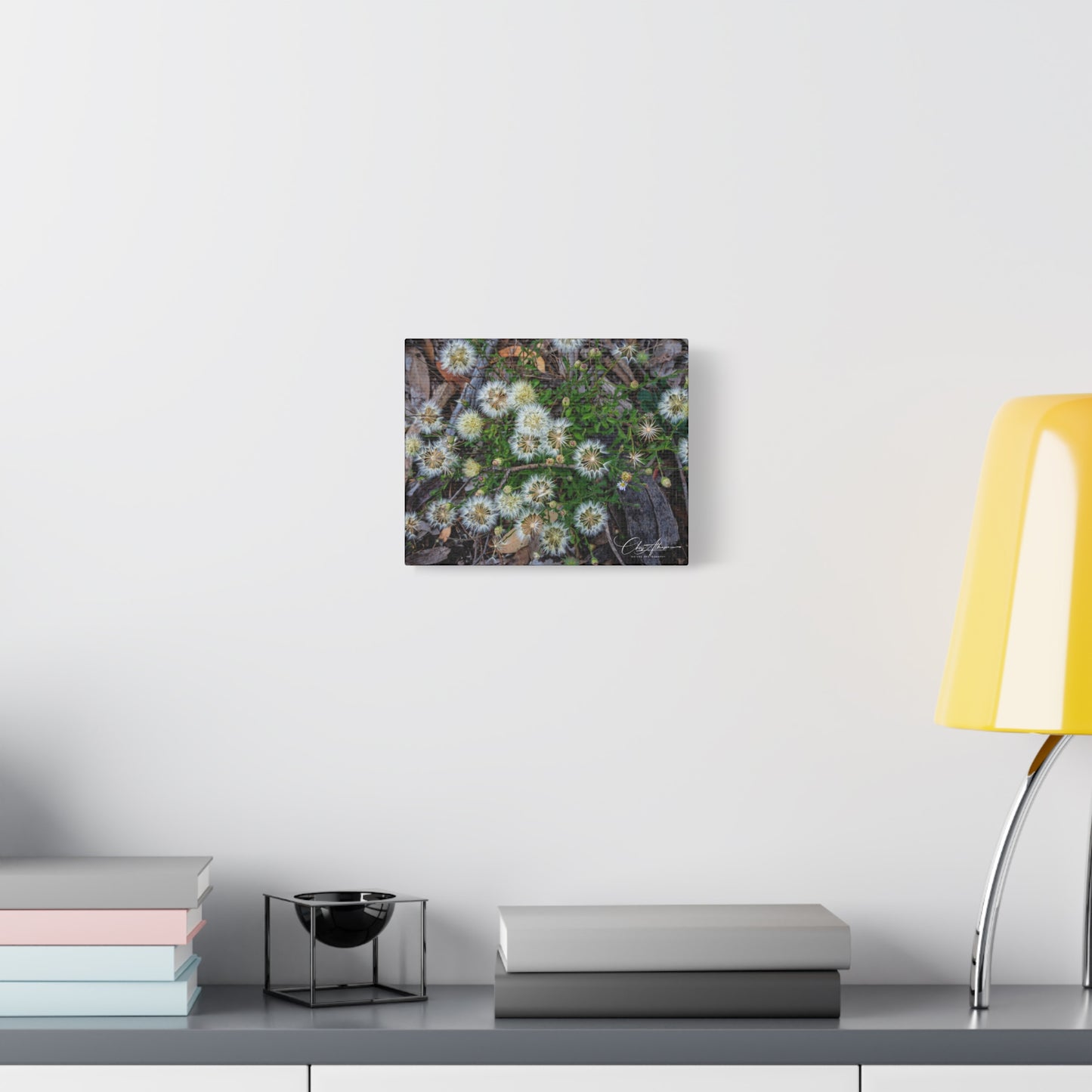 Matte Canvas, Stretched, 1.25" - Australian Wildflowers