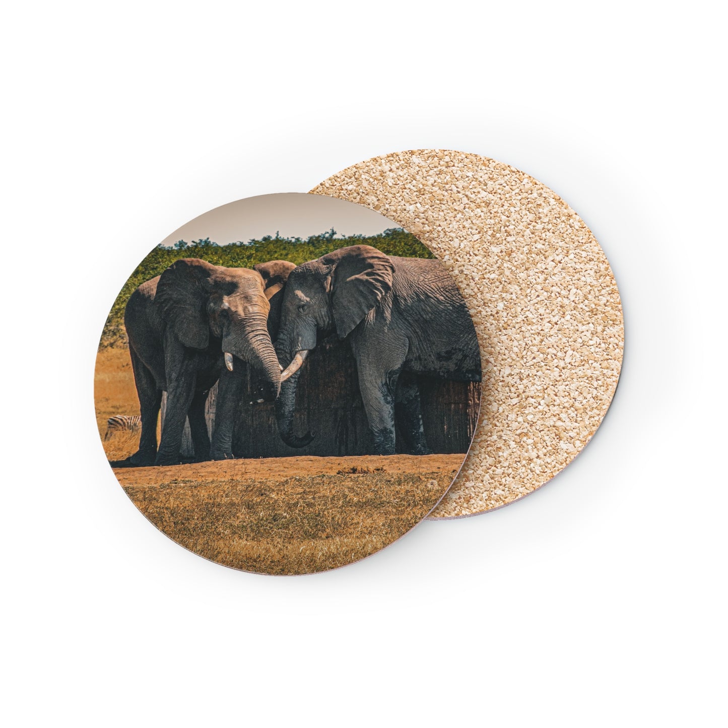 Friendly Elephants Coaster
