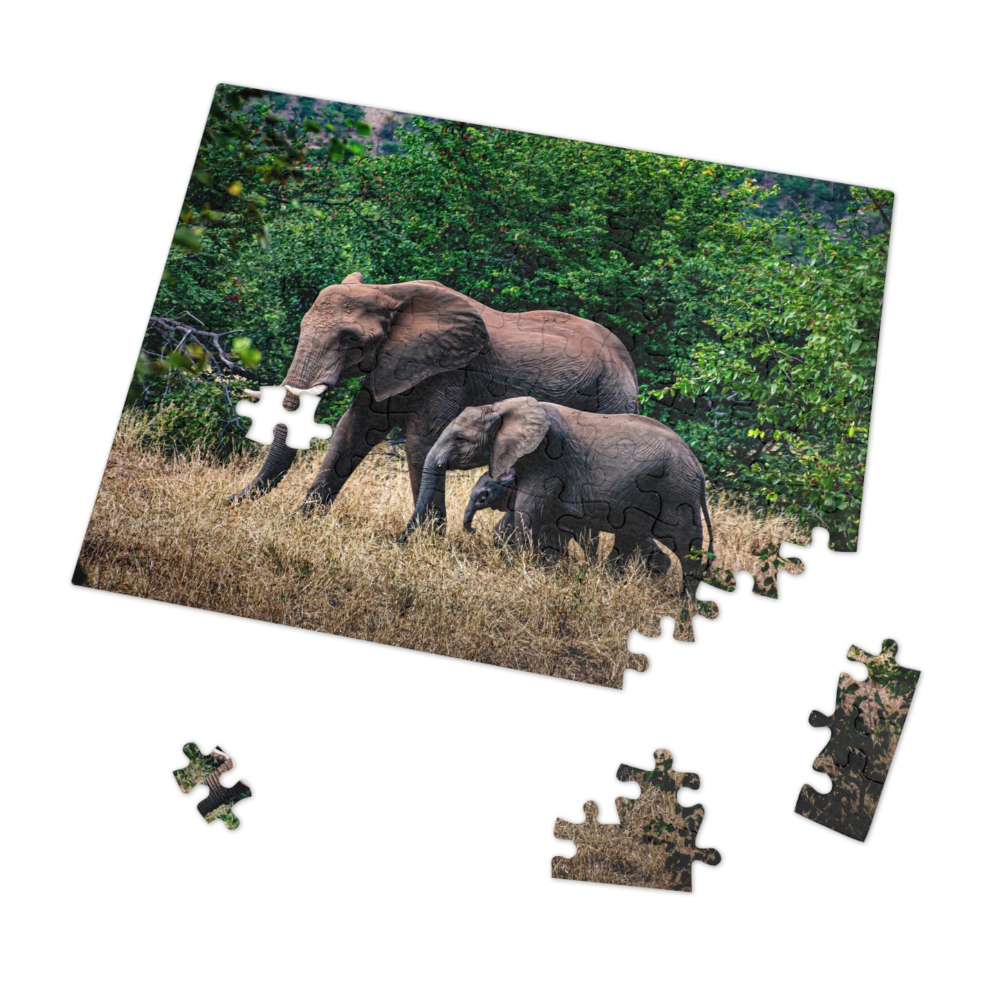 Jigsaw Puzzle (30, 110, 252, 500, 1000, 2000 Piece) - Elephant Family