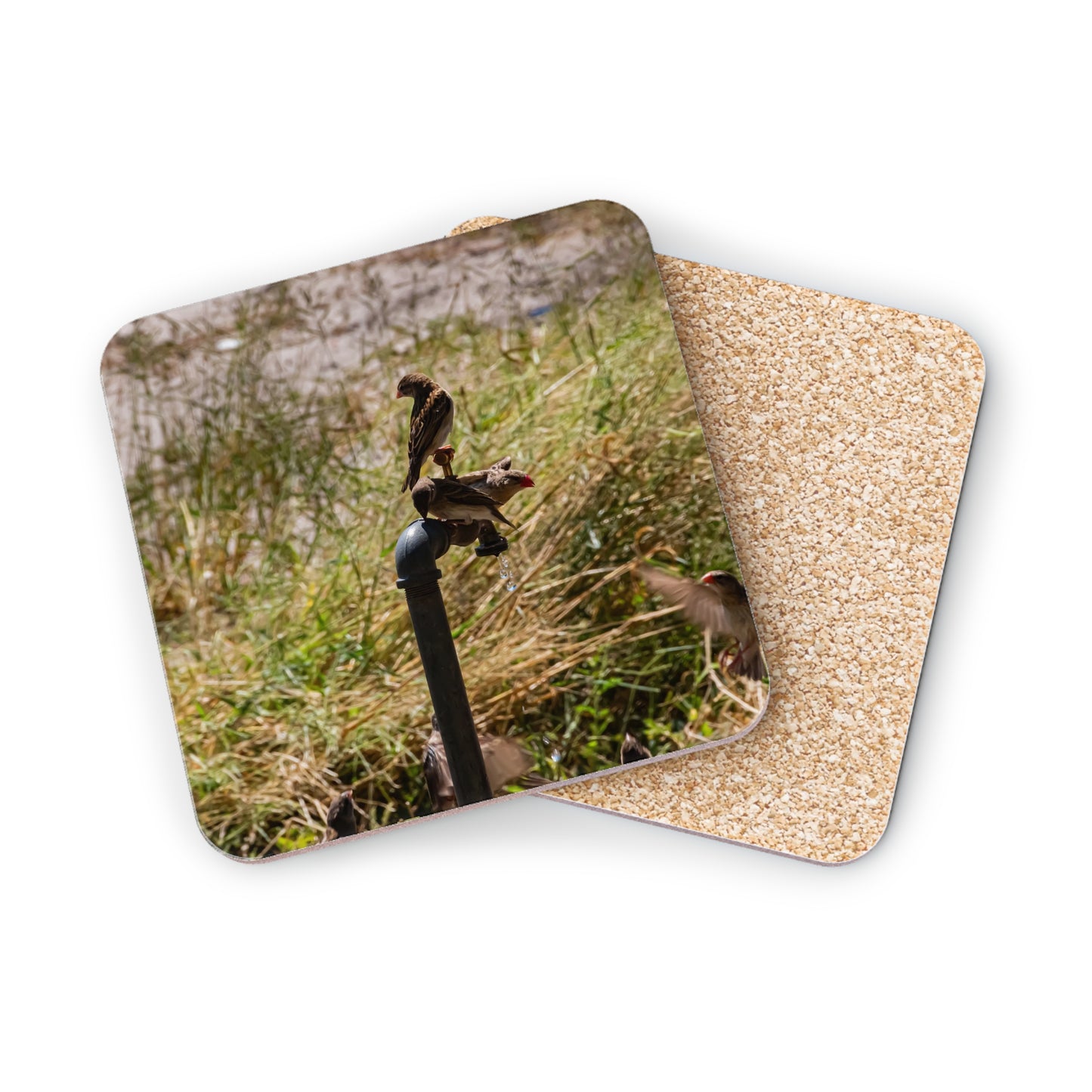 African Birds Coasters Square 3.7" x 3.7" 1pc