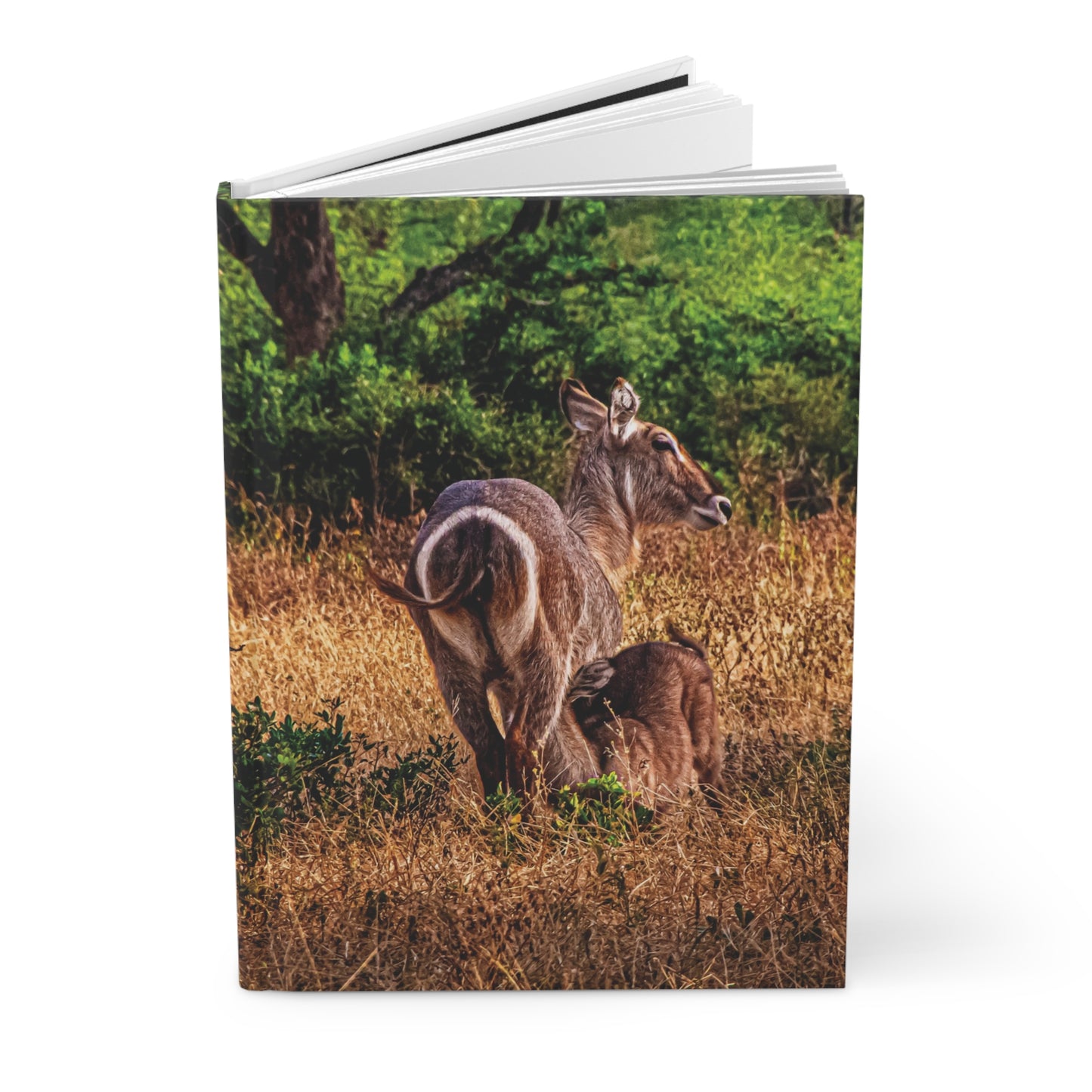 Waterbuck Baby Animal Journal Journal