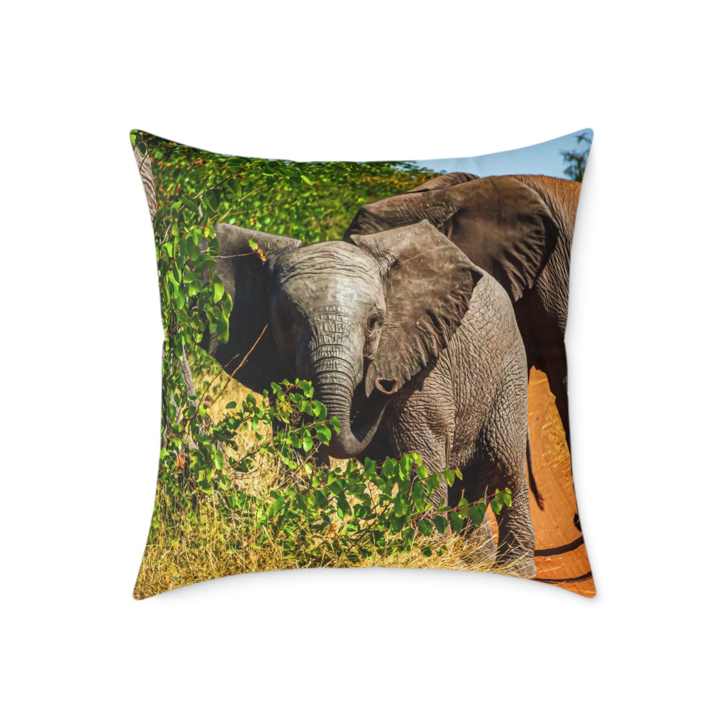 Young Elephant Pillow 24" × 24"