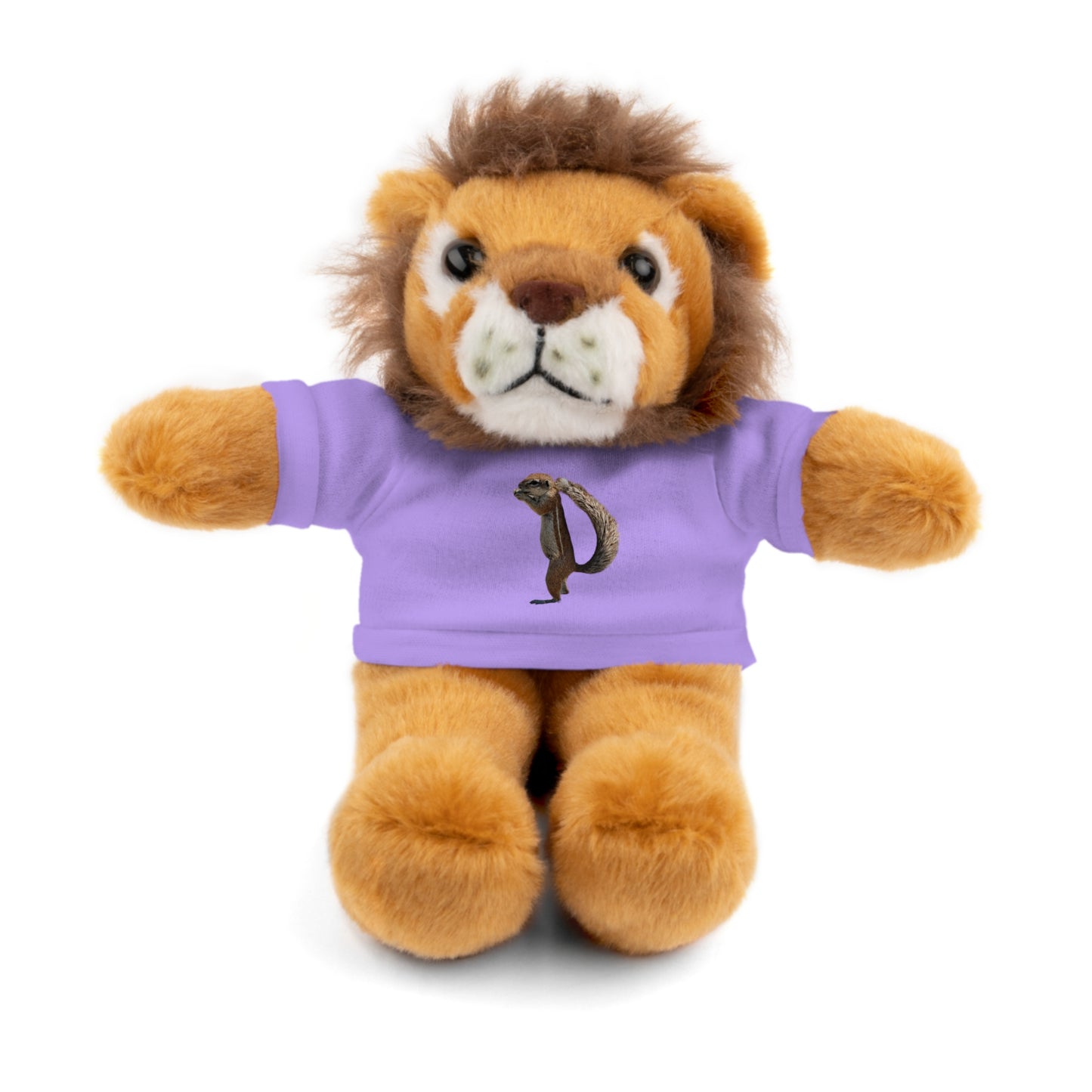 Teddy Bear with Tee