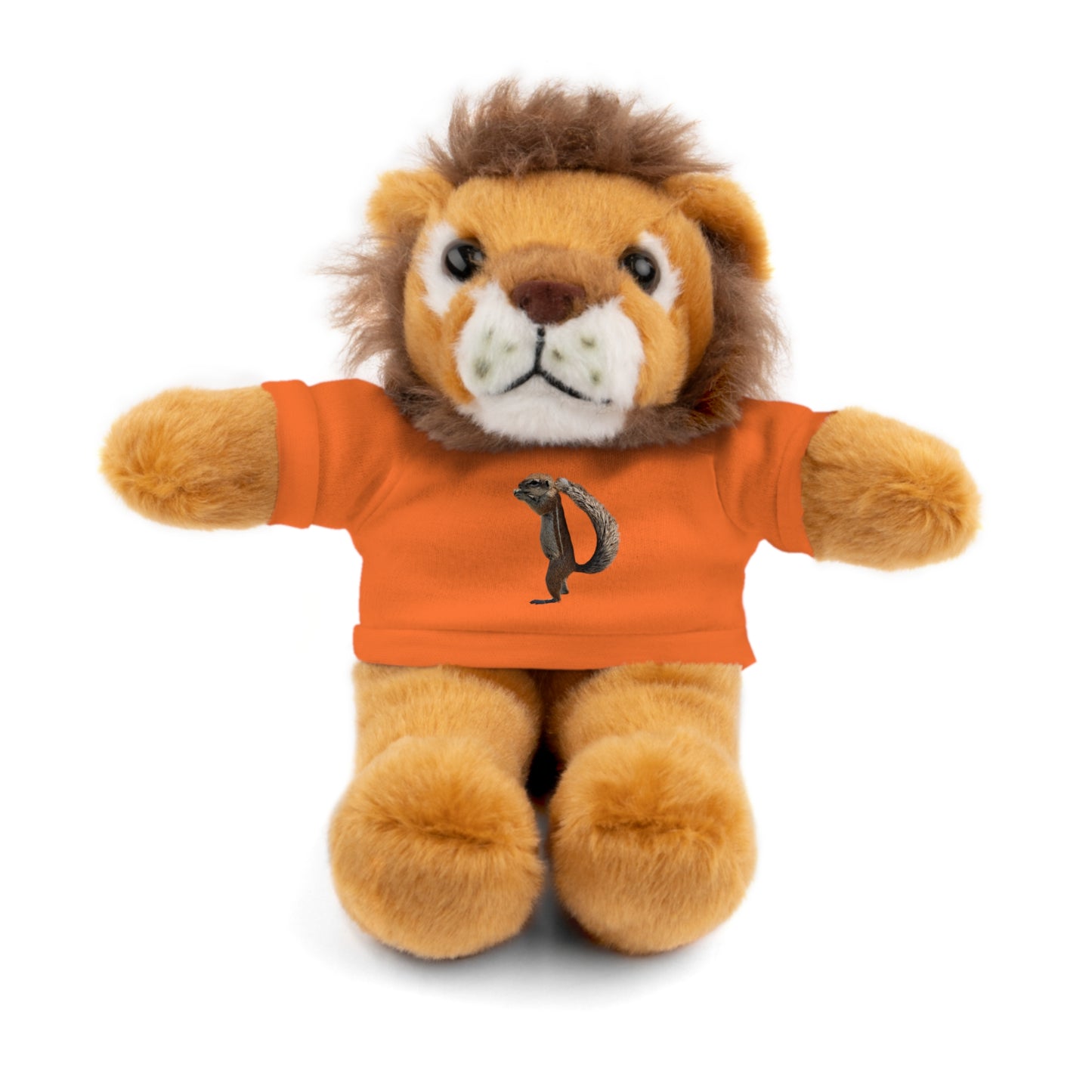 Teddy Bear with Tee