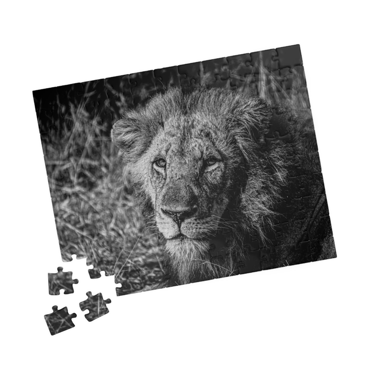 Majestic Old Lion Jigsaw Puzzle B&W