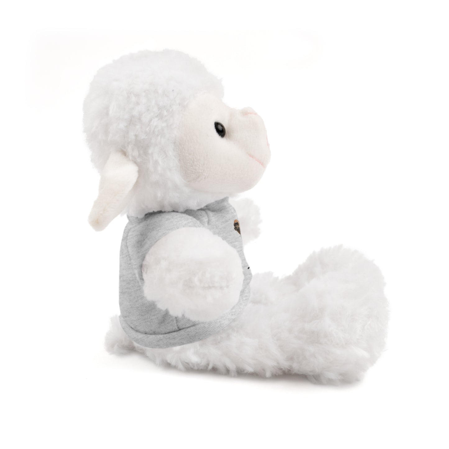 Teddy Bear with Tee