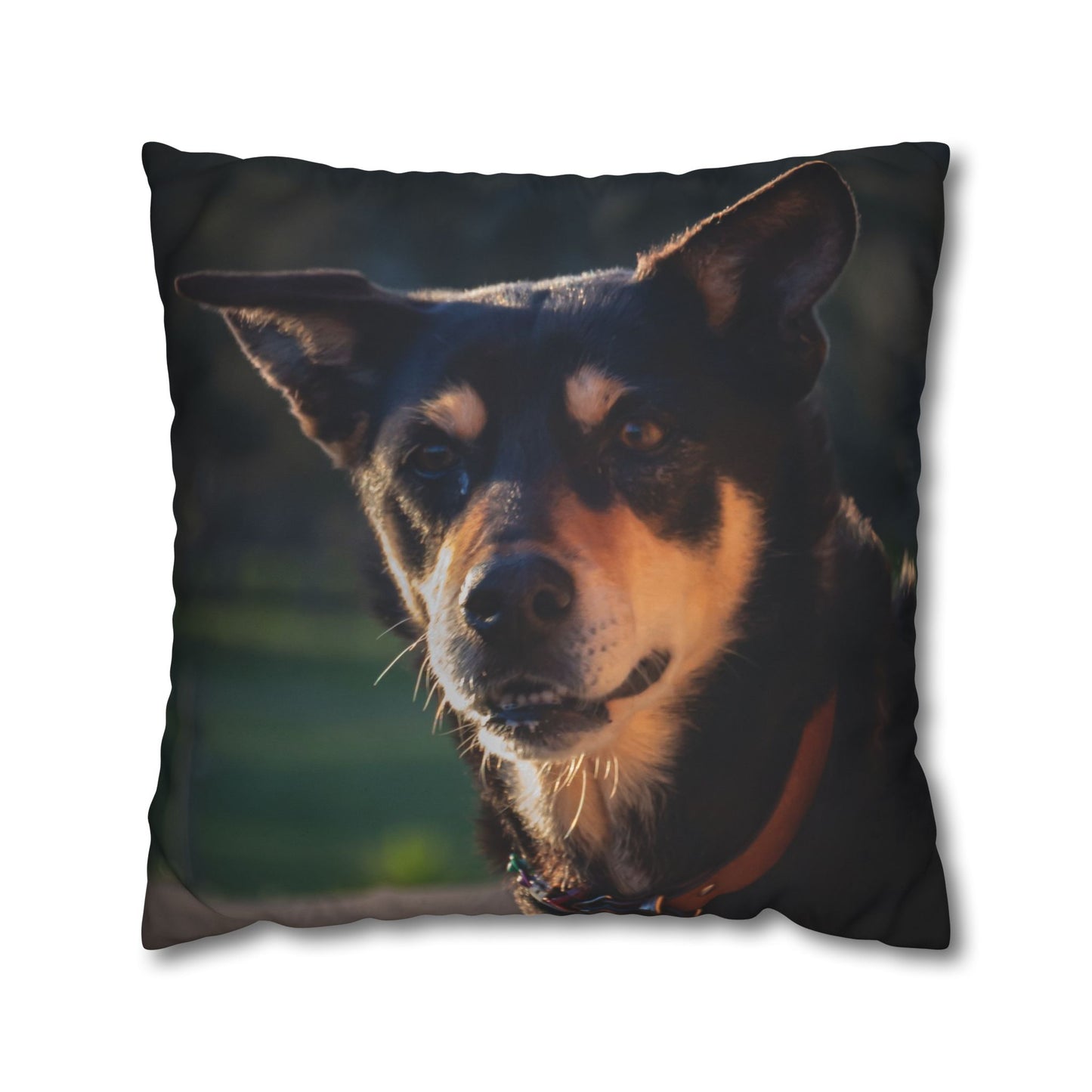 Poly Canvas Pillowcase - Saba the Kelpie 24" × 24"