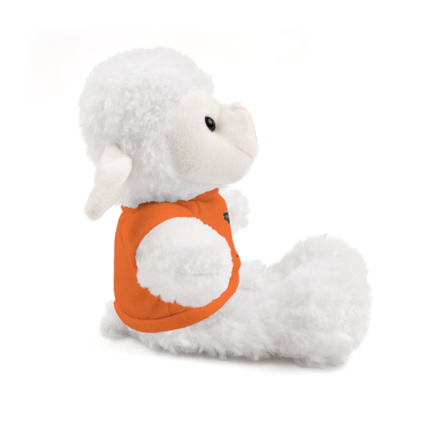 Teddy Bear with Tee