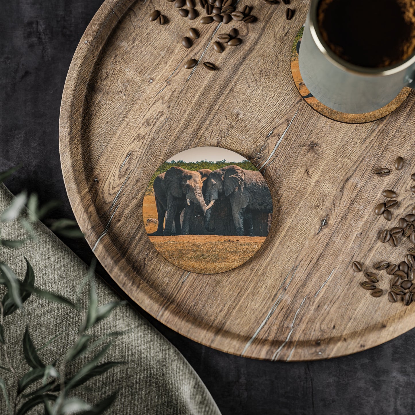 Friendly Elephants Coaster