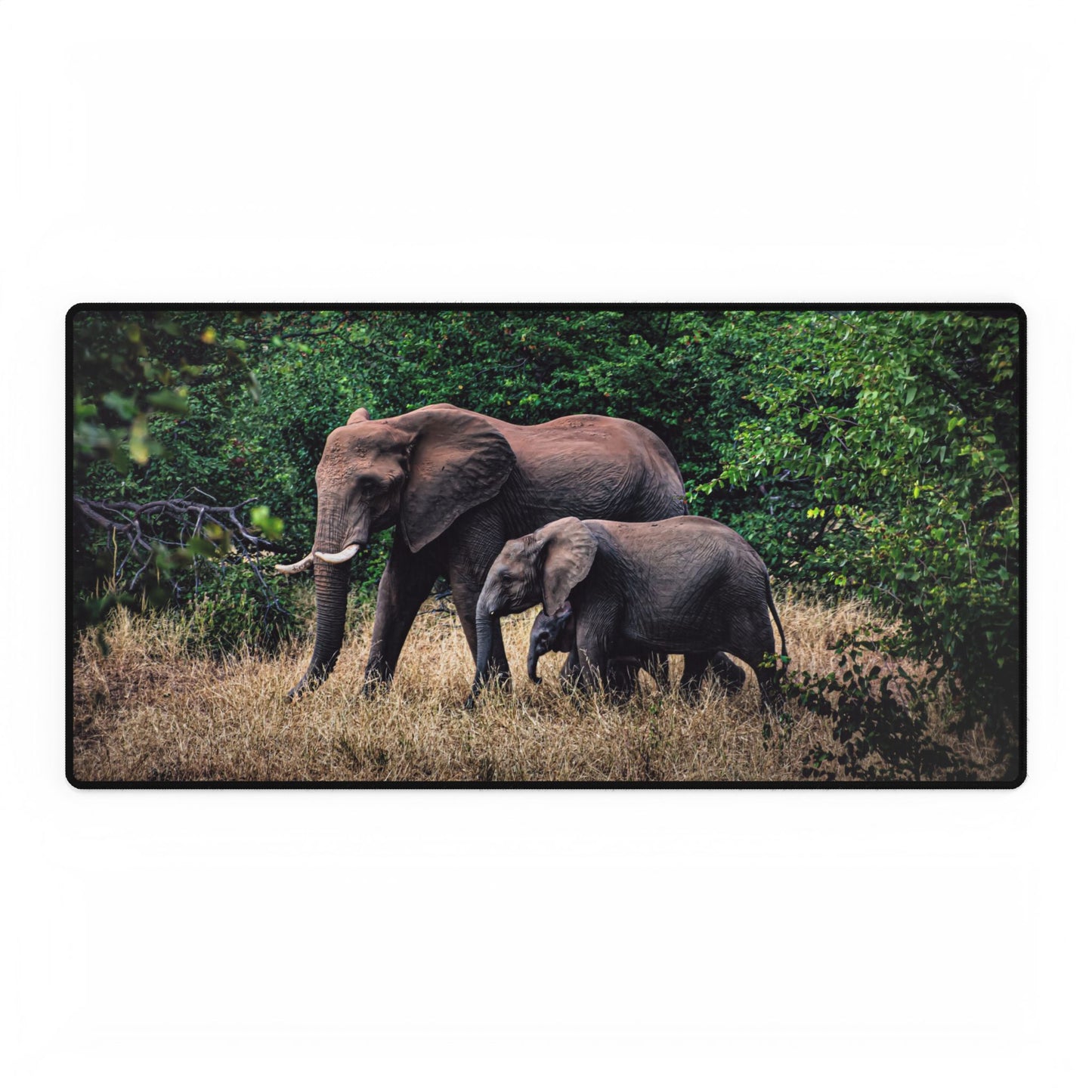 Elephant Family Desk Mat