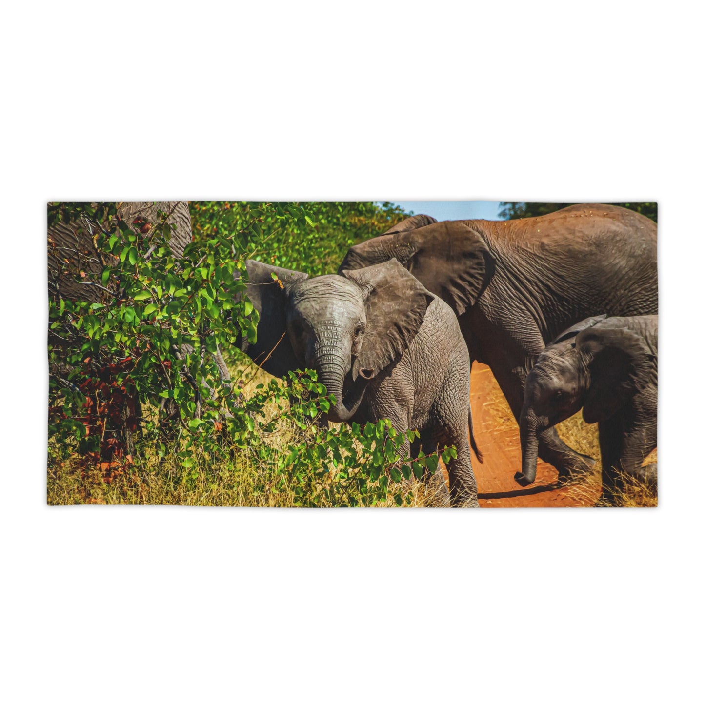 African Elephant Beach Towels