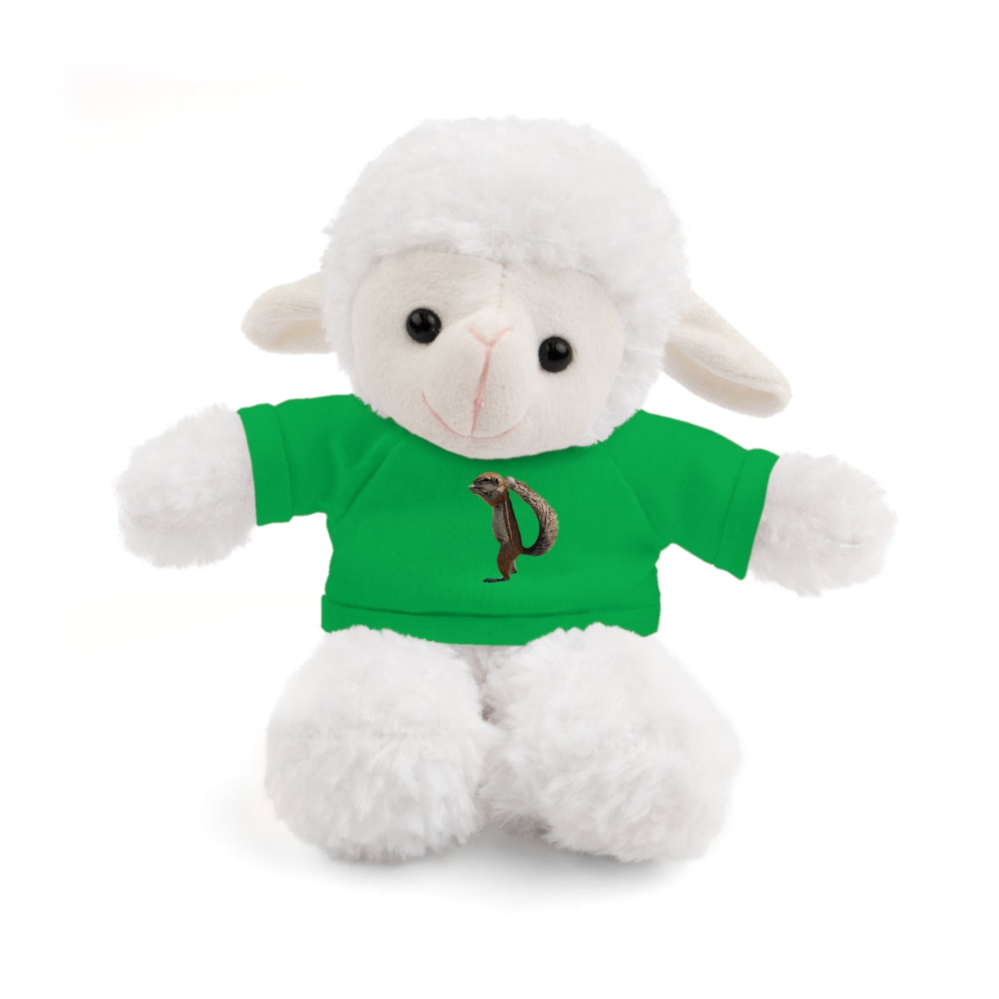 Teddy Bear with Tee