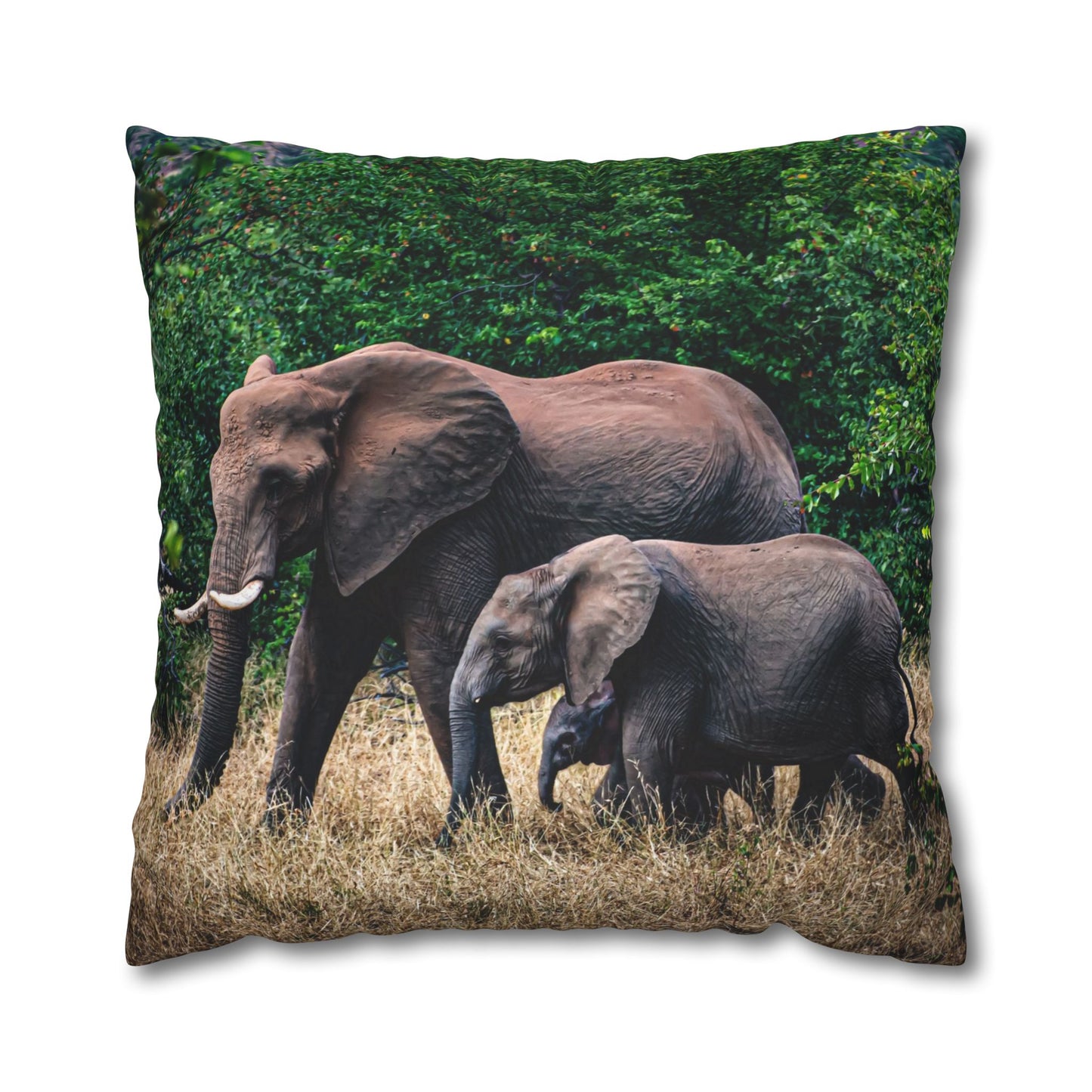 Poly Canvas Pillowcase - Elephant Family 26" × 26"
