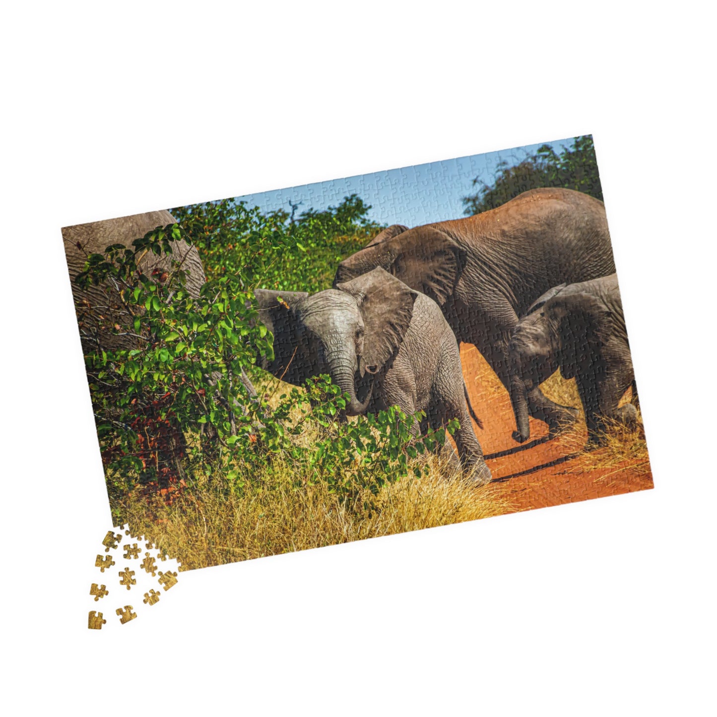 Young Elephant Jigsaw Puzzle