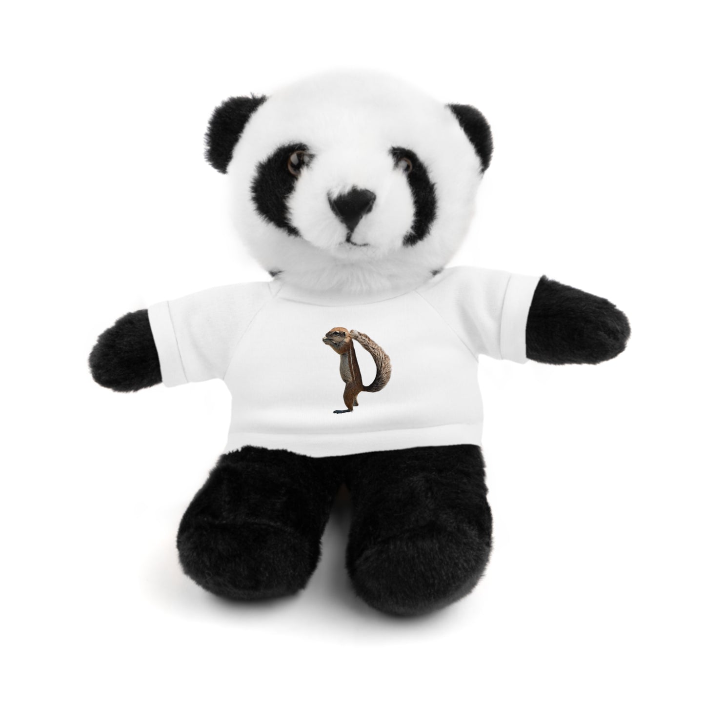 Teddy Bear with Tee