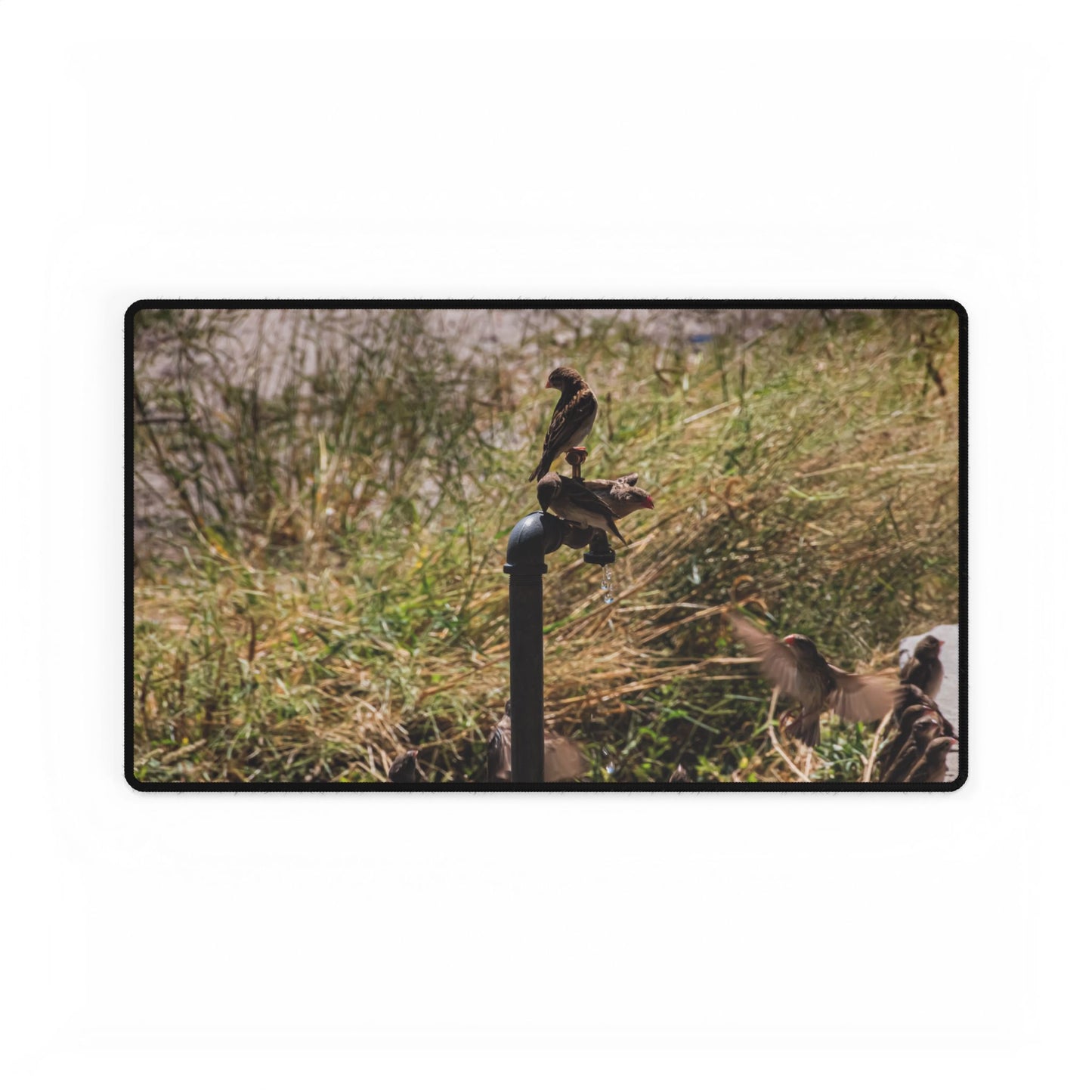 African Birds Desk Mat