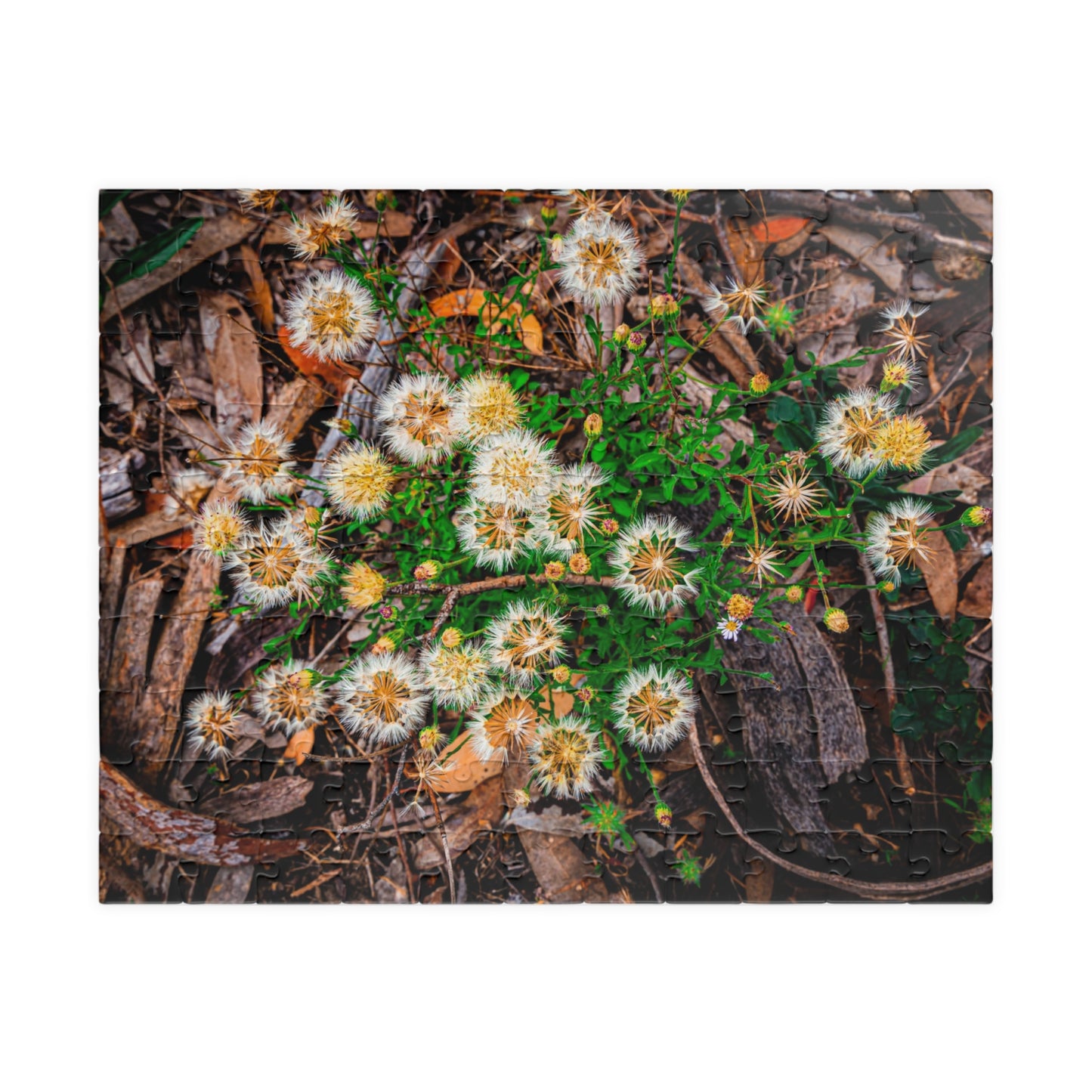 Australian Wildflower Jigsaw Puzzle