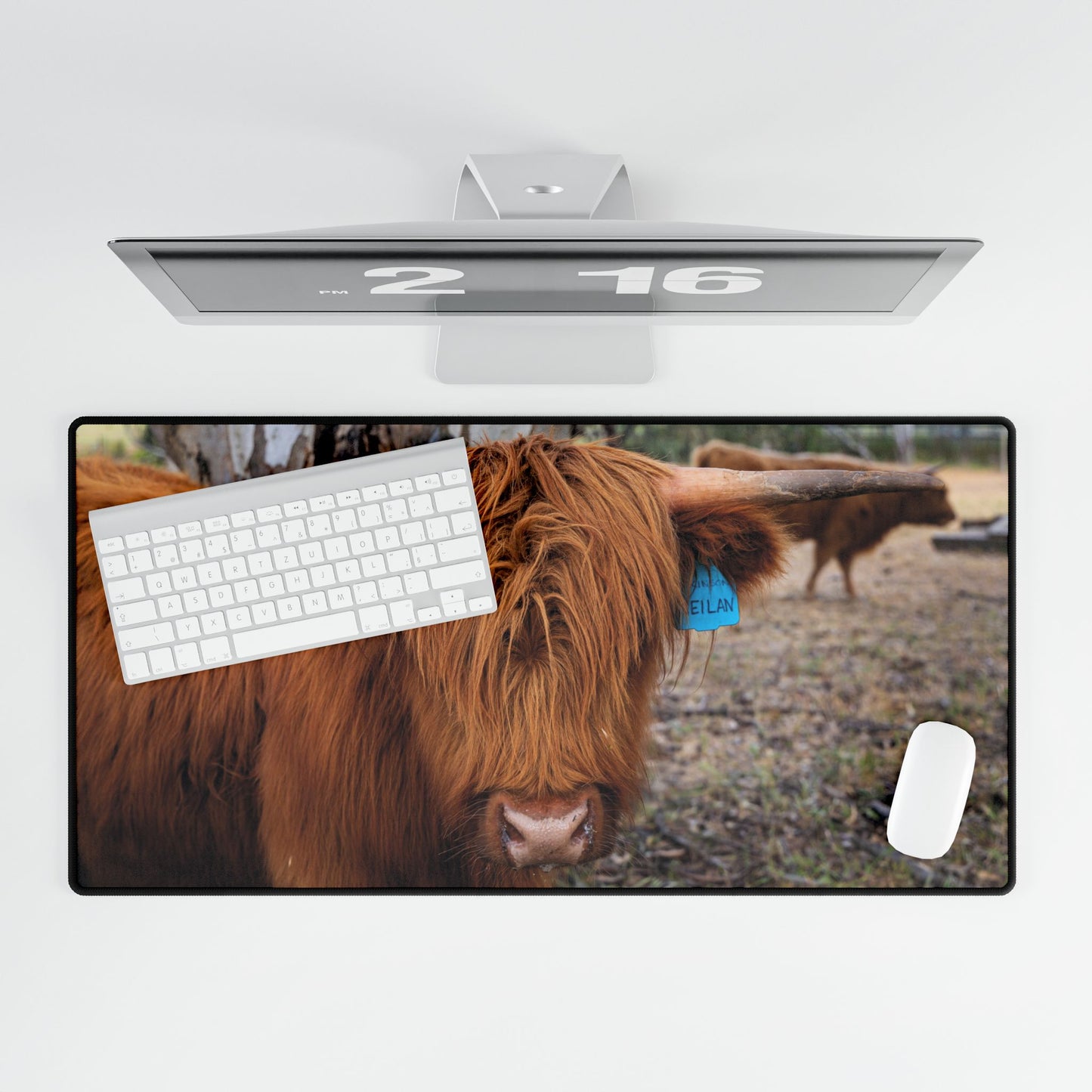 Highland Cattle Desk Mats