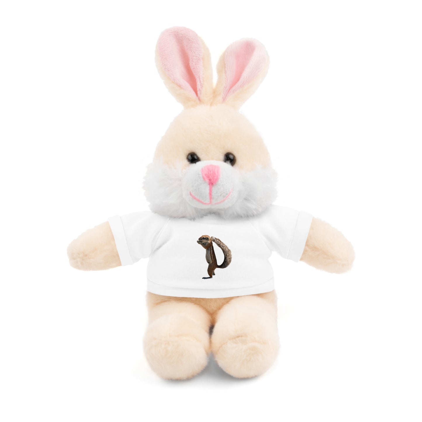 Teddy Bear with Tee