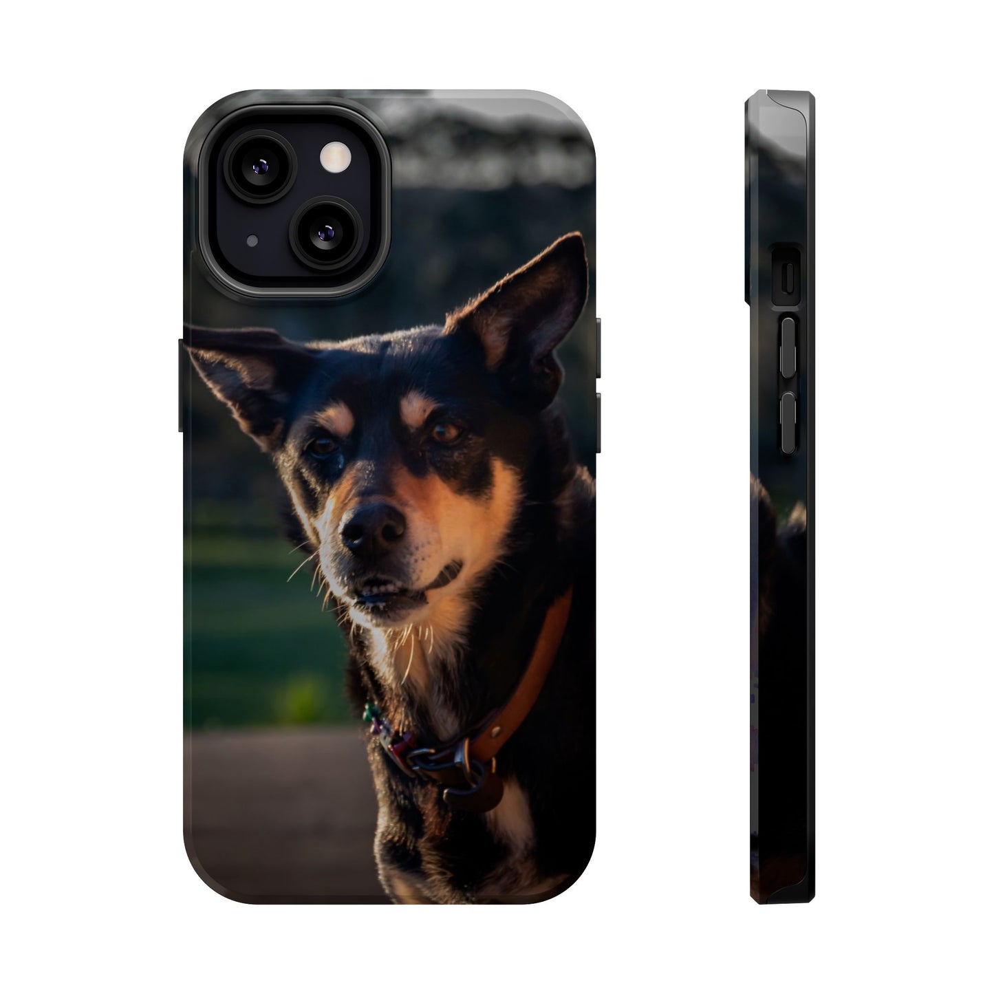 Magsafe® Compatible Tough Cases - Saba The Kelpie iPhone 13 Glossy