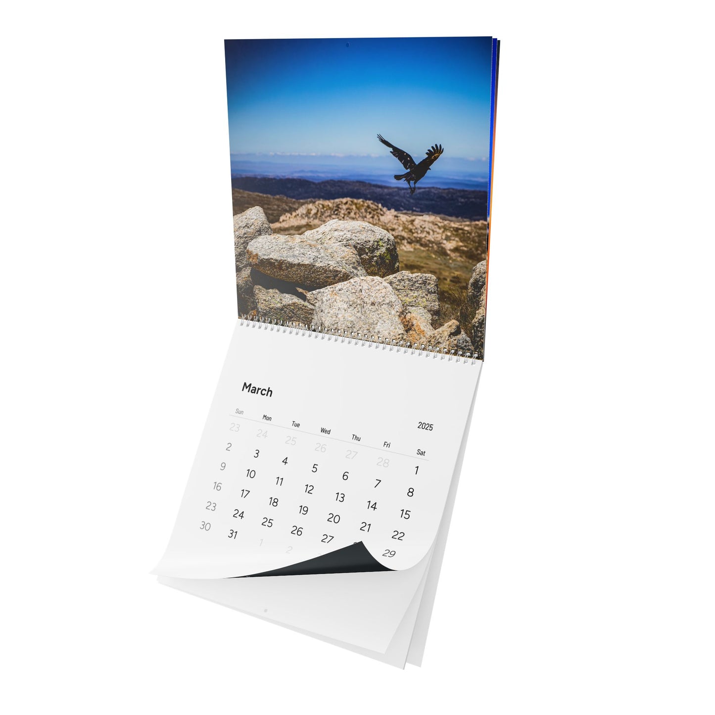 2025 Nature Wildlife Wall Calendar 12" x 12" Matte